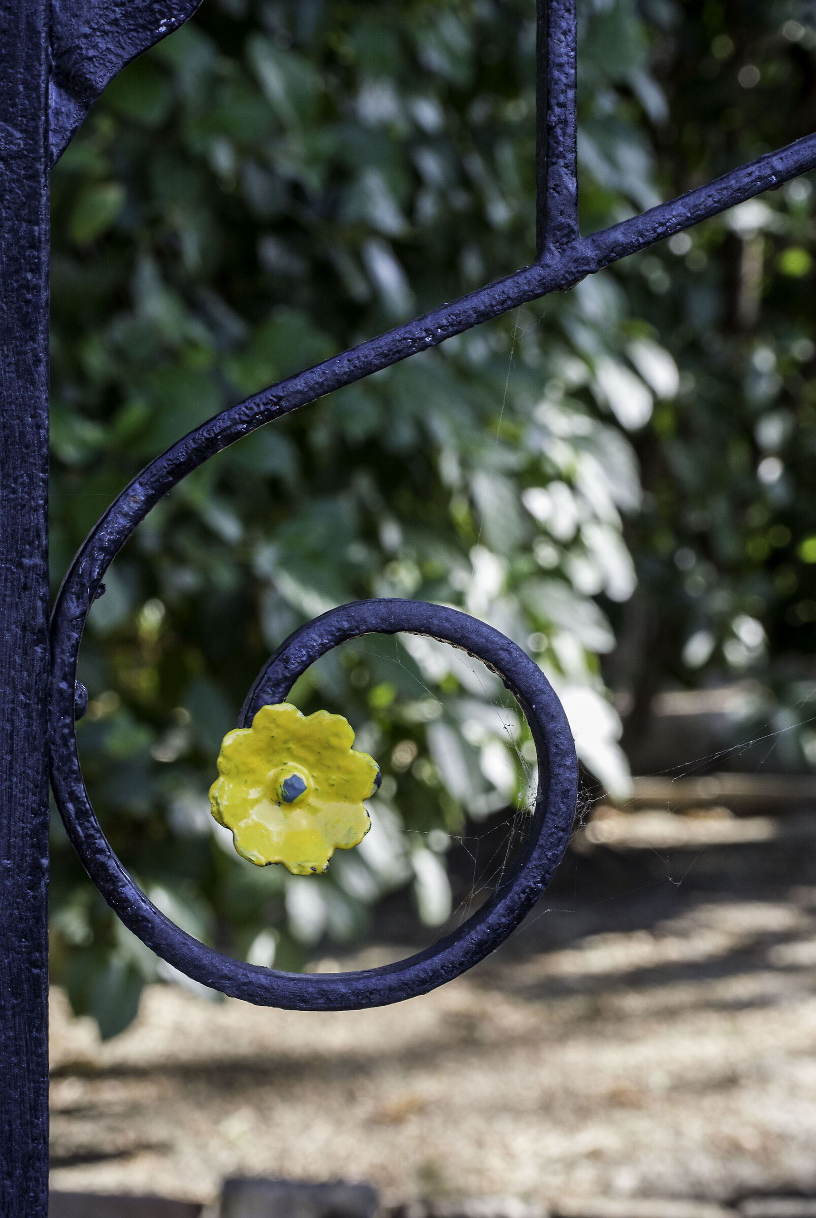 Particolare di cancellata con ragnatela