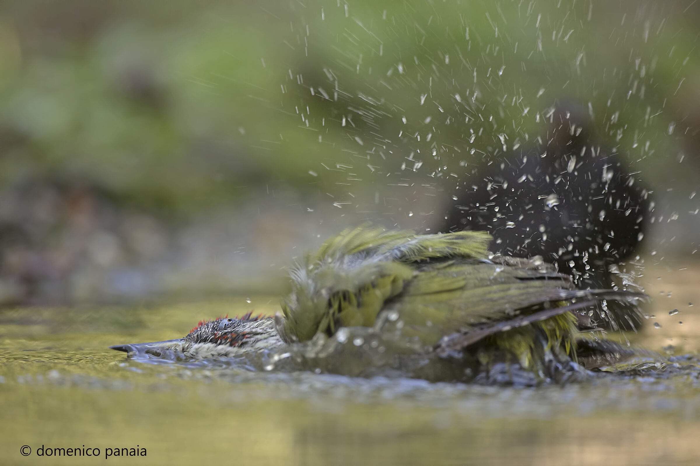 tranquilli....sto bene