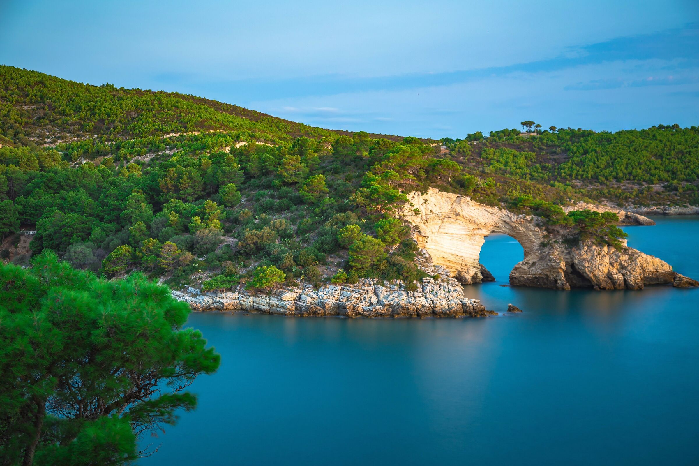 bay san happy gargano