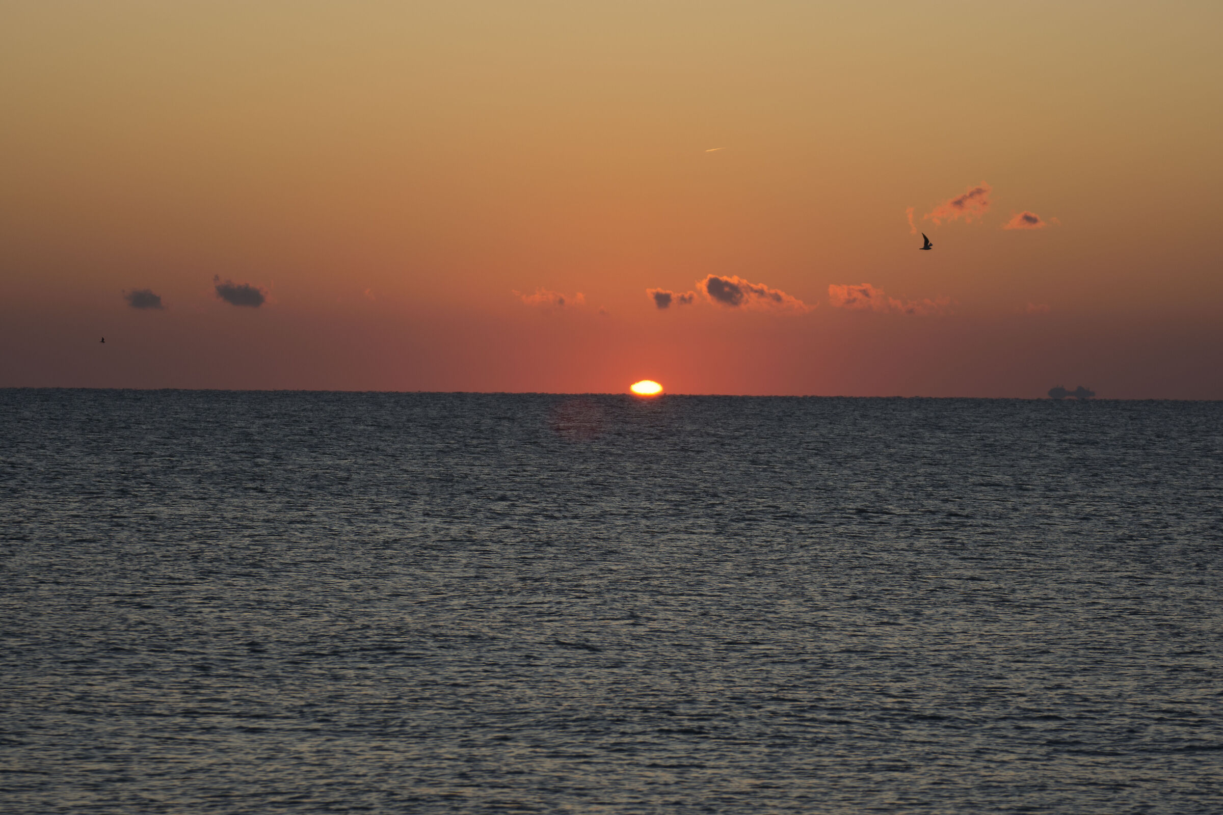 the sun is waking up.