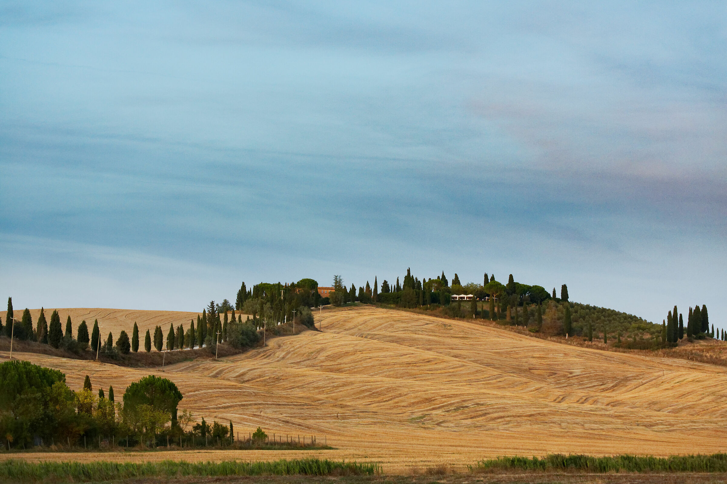 Colline senesi, Olio su tela