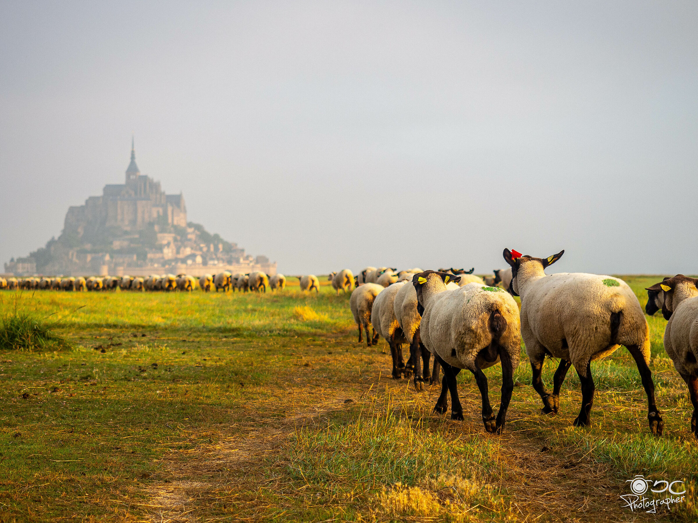 The road to Le Mont Saint Michel