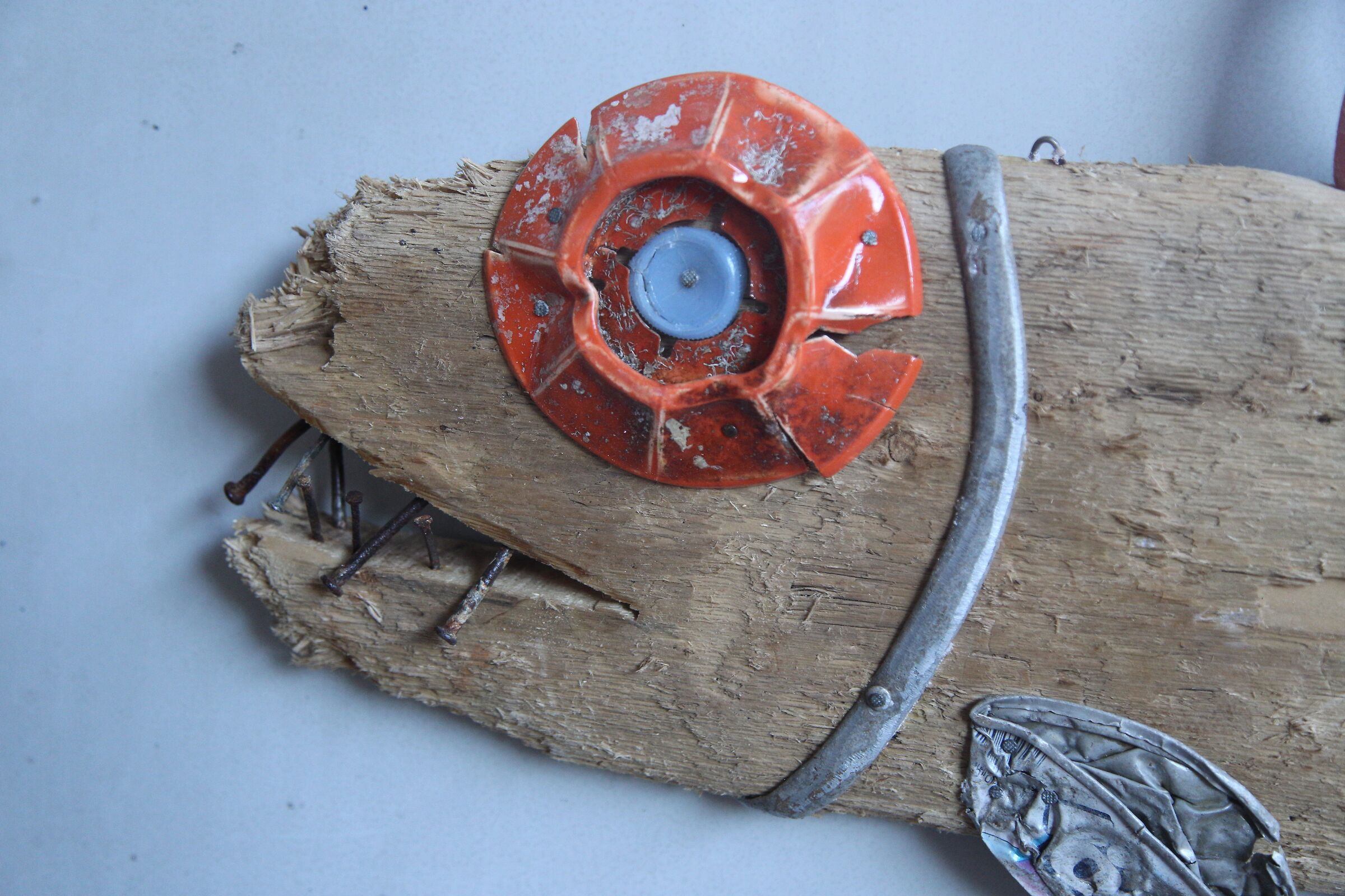 I pesci di Tanino Cincotta