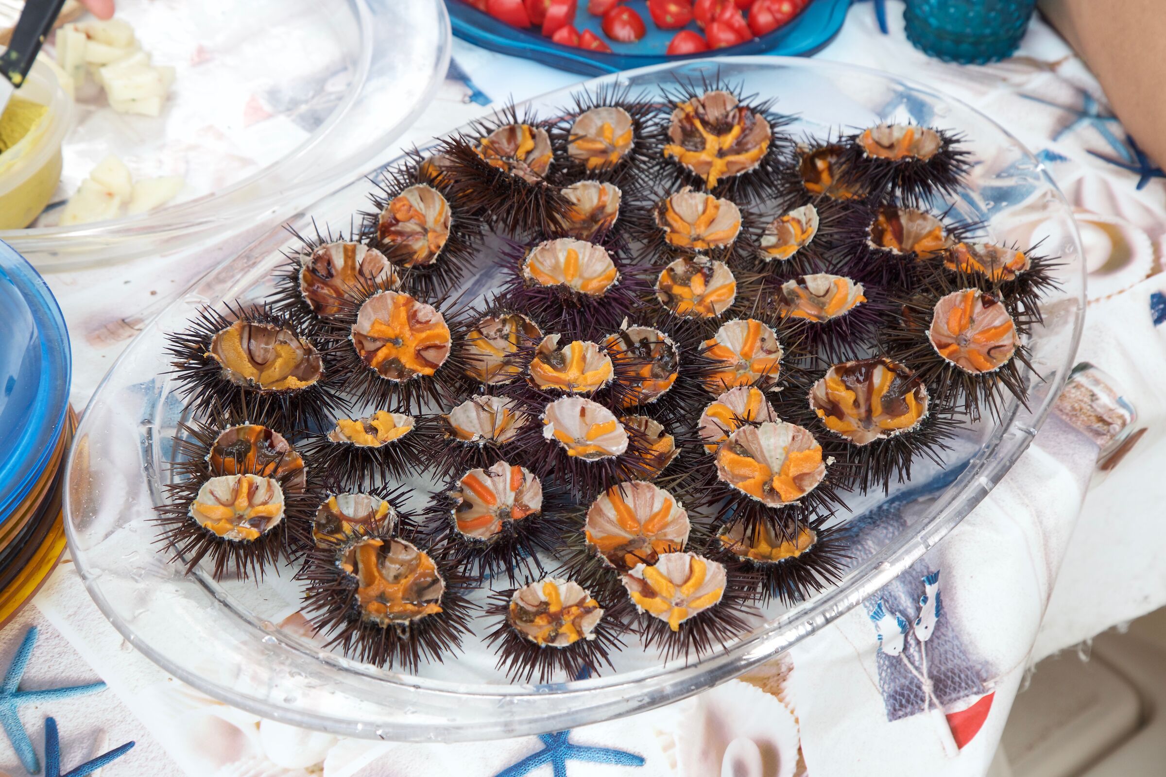Il dono di Nettuno e della sua vestale