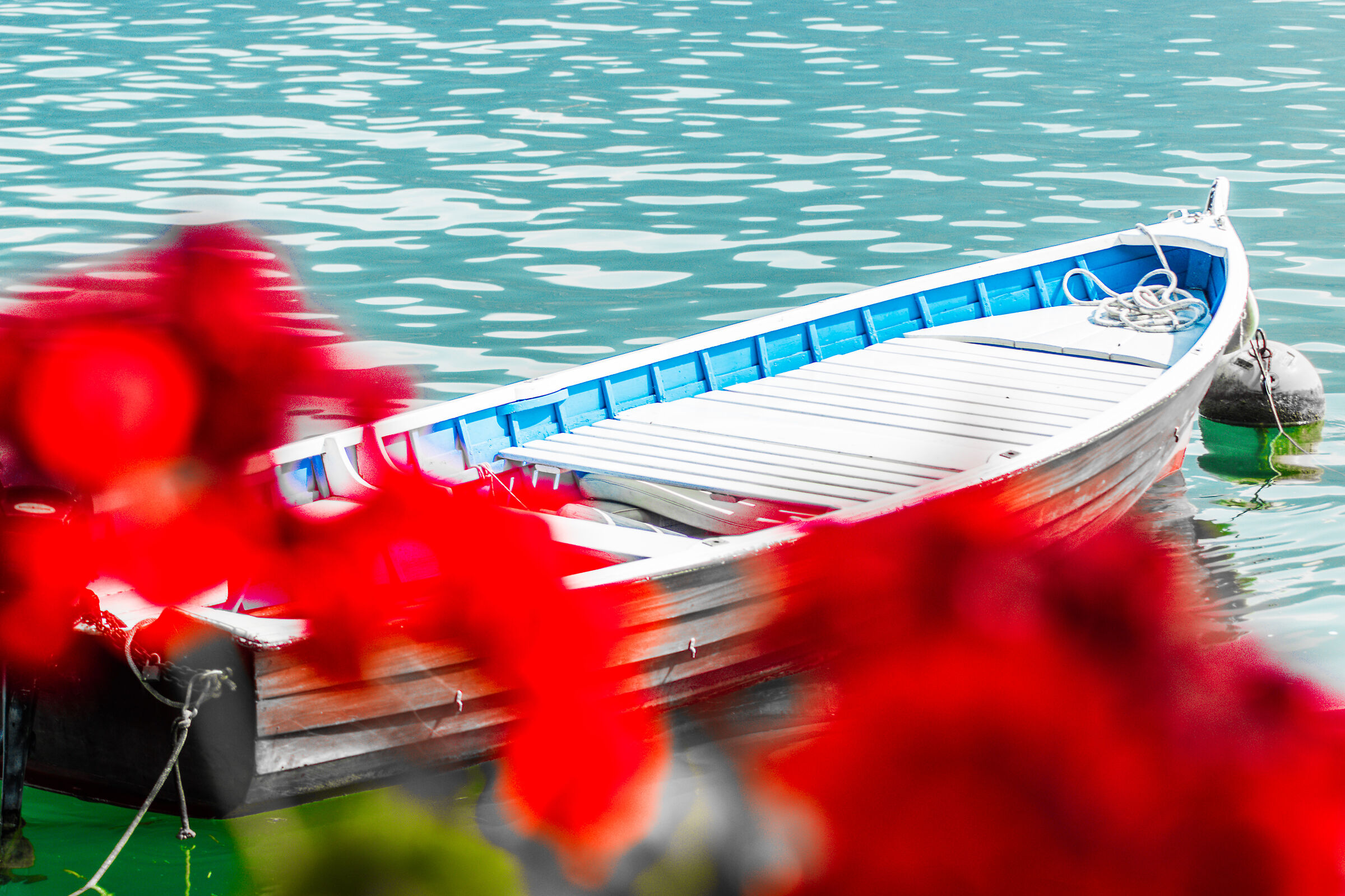 Relaxation... at the lake