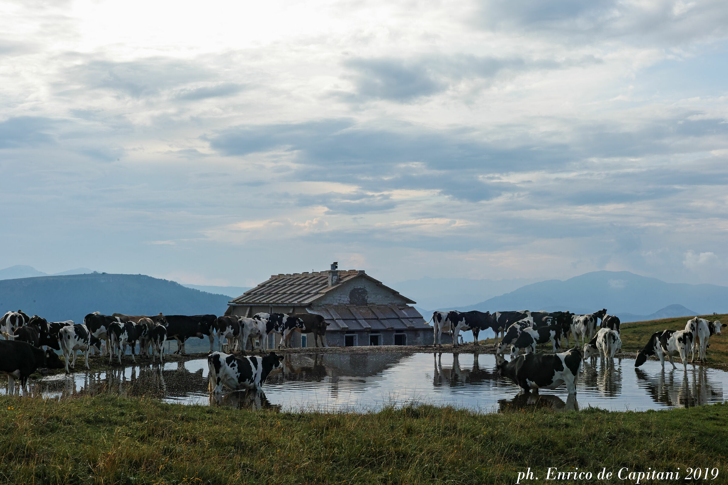 Il baito e la pozza di malga Gasparine di Dietro