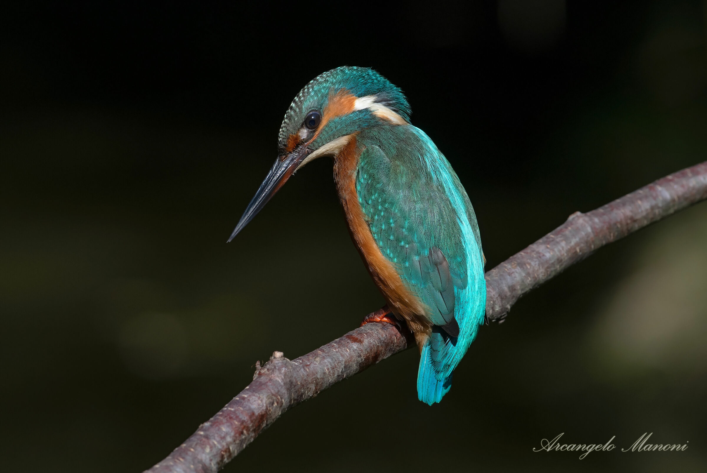 In the shadow of the edge of the river