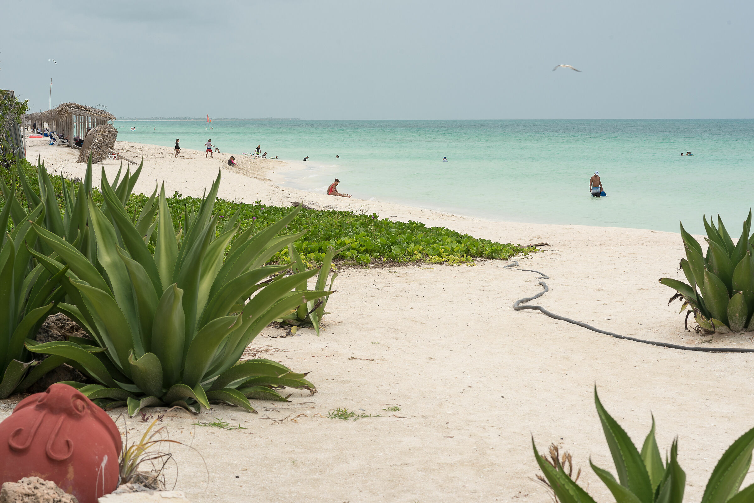 ...non solo street...