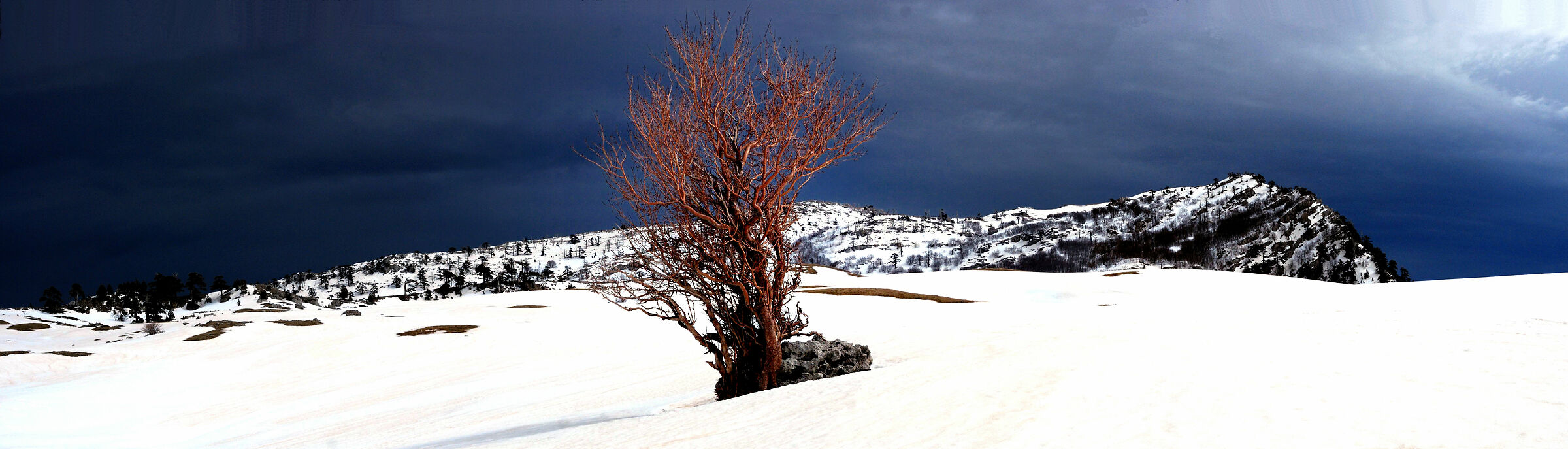 Serra delle ciavole. Piani del pollino