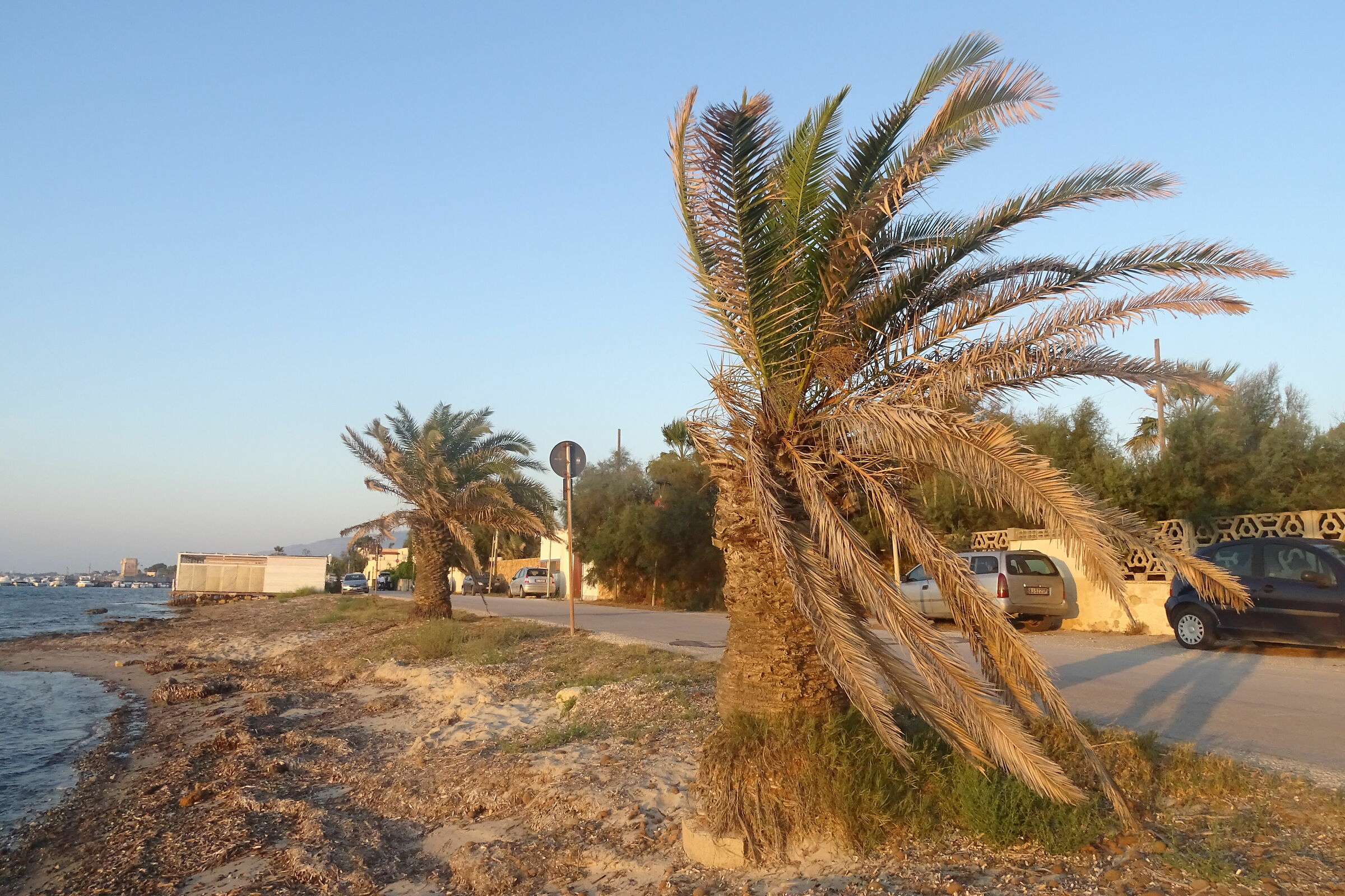 Years of wind...