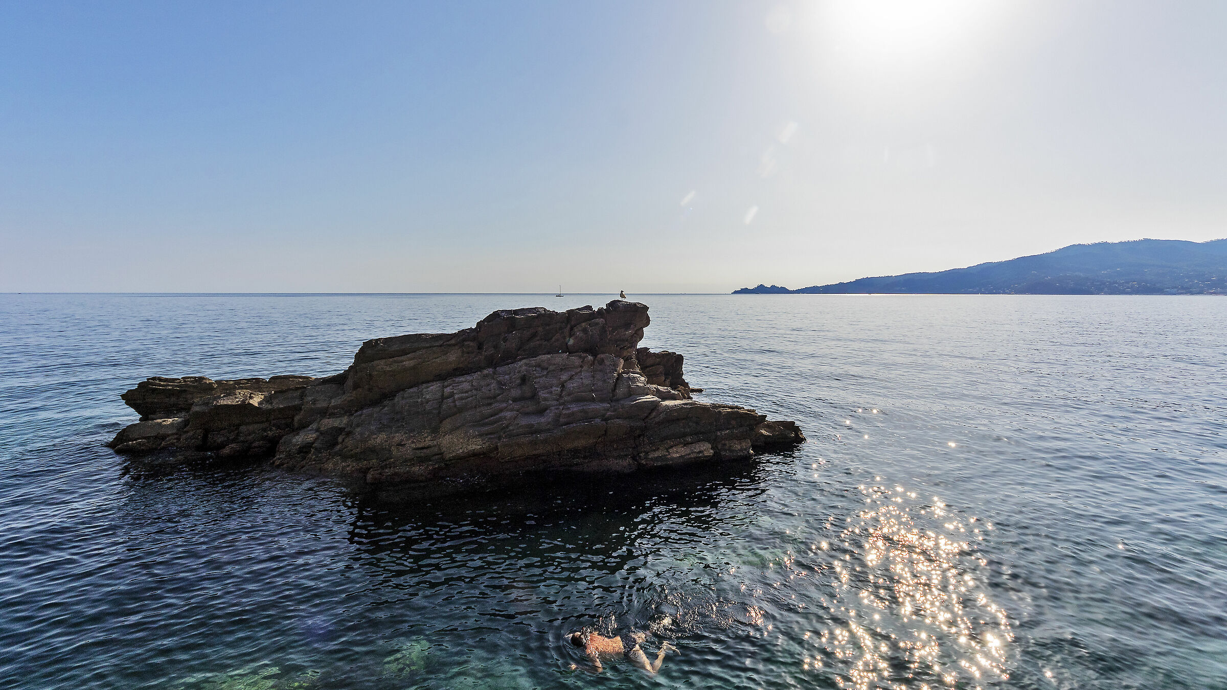 Portofino, the seagull and frog boat