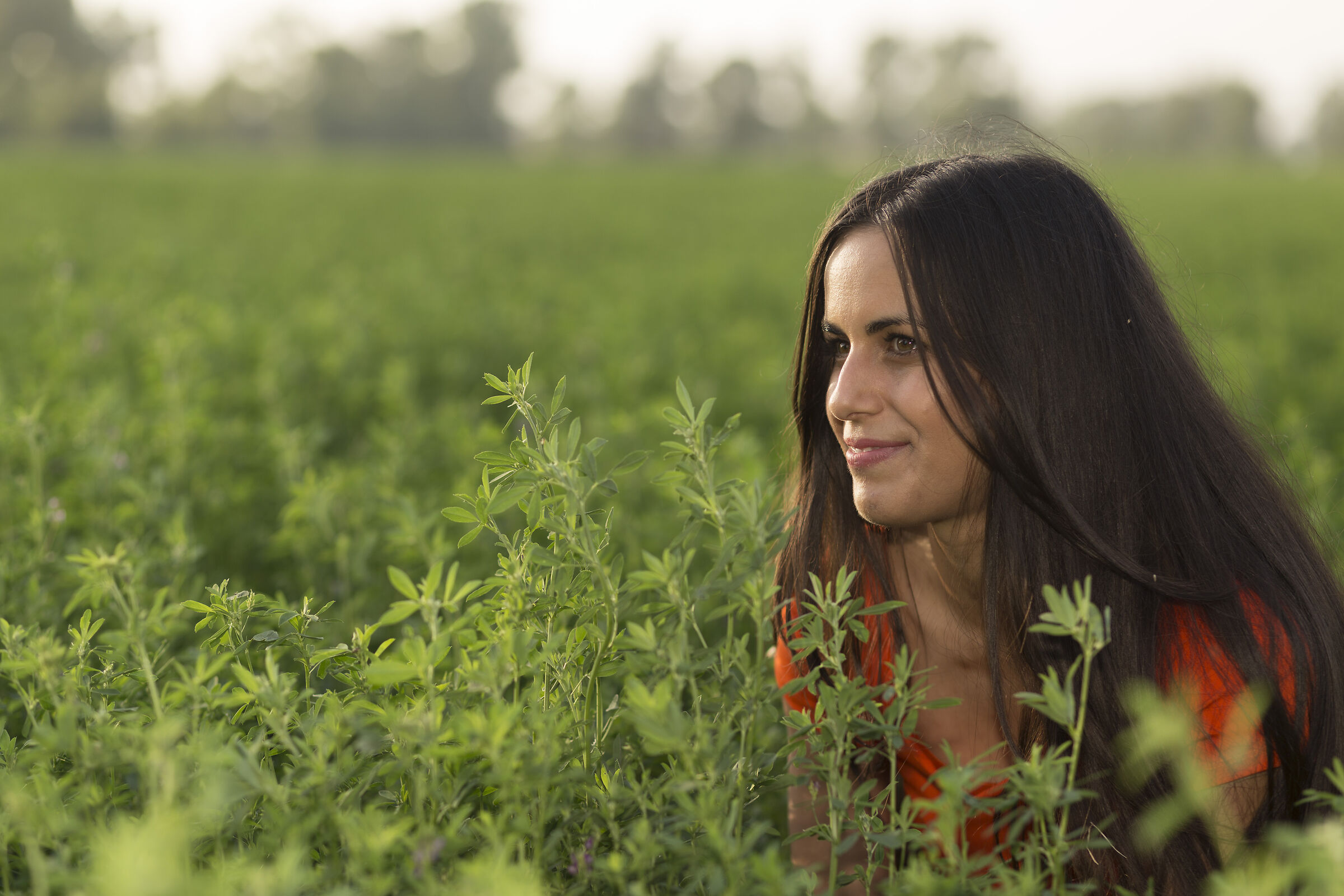 A flower has blossomed