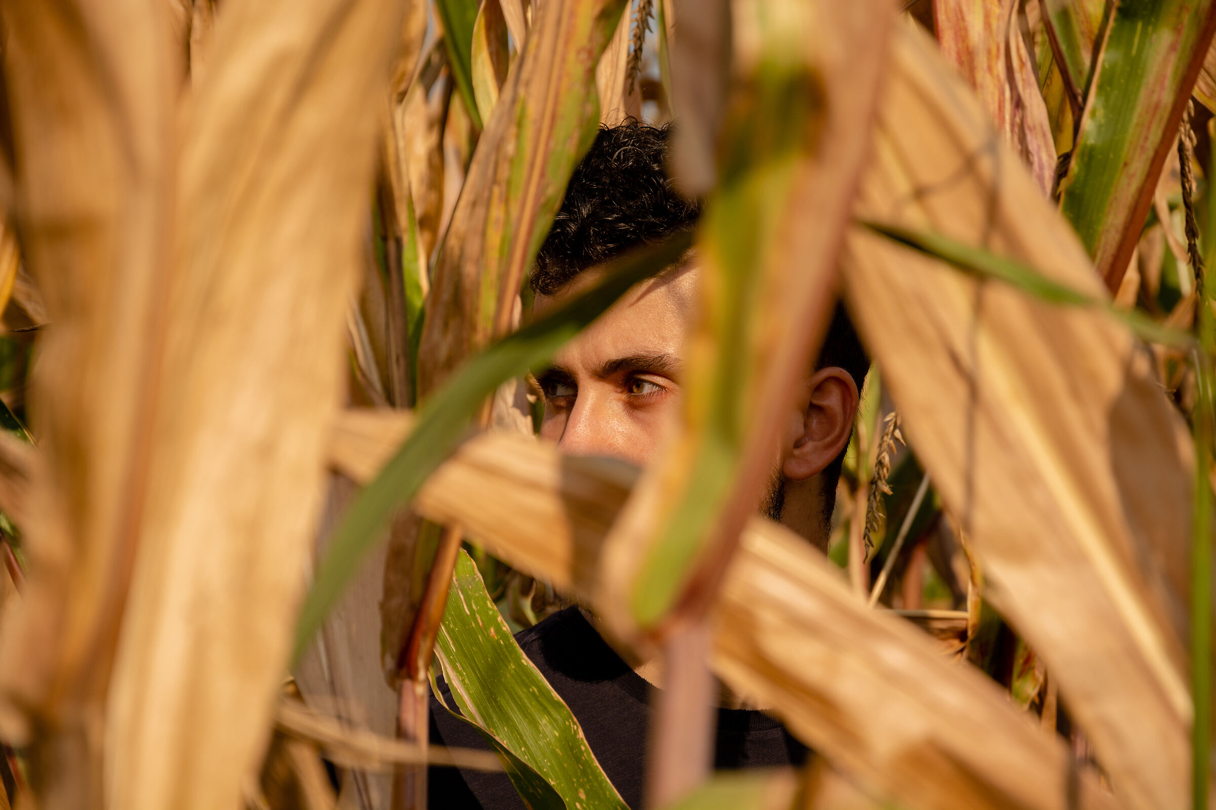 Walking in the fields