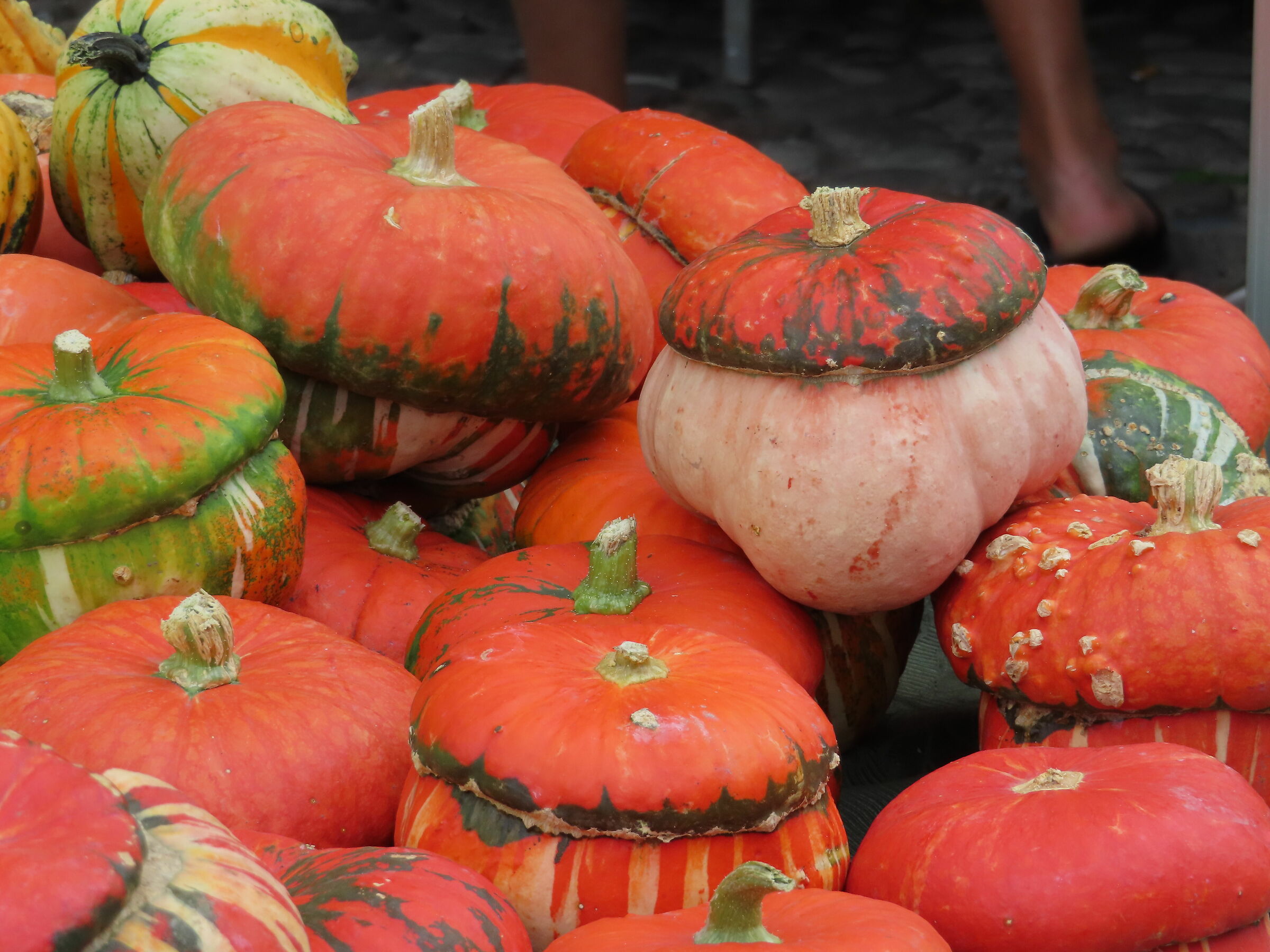 Alla fiera delle zucche