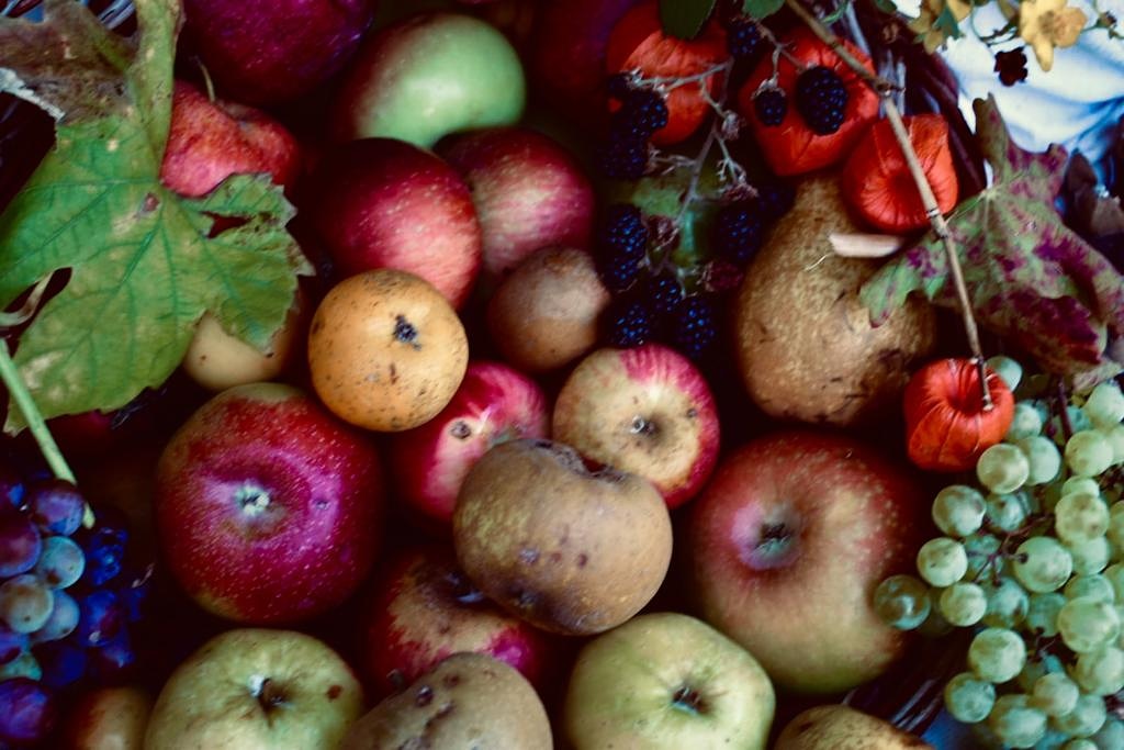 Flowers, fruits and butterflies