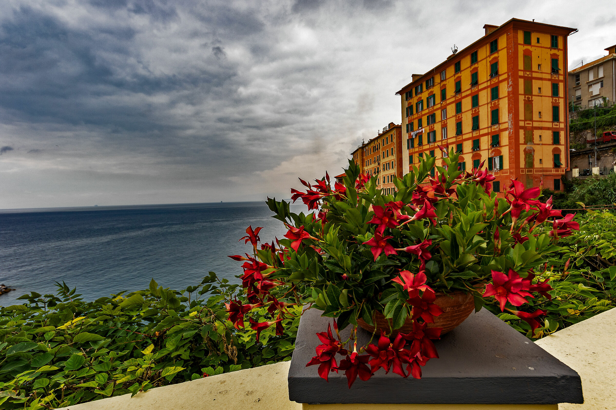 Liguria land of contrasts