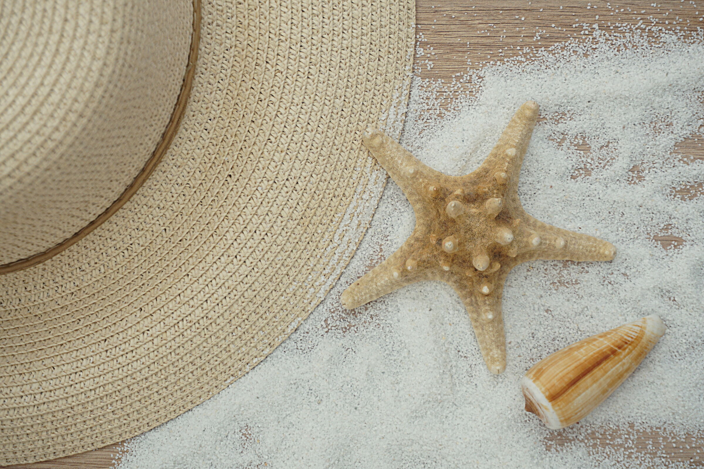 Fragments of a Summer