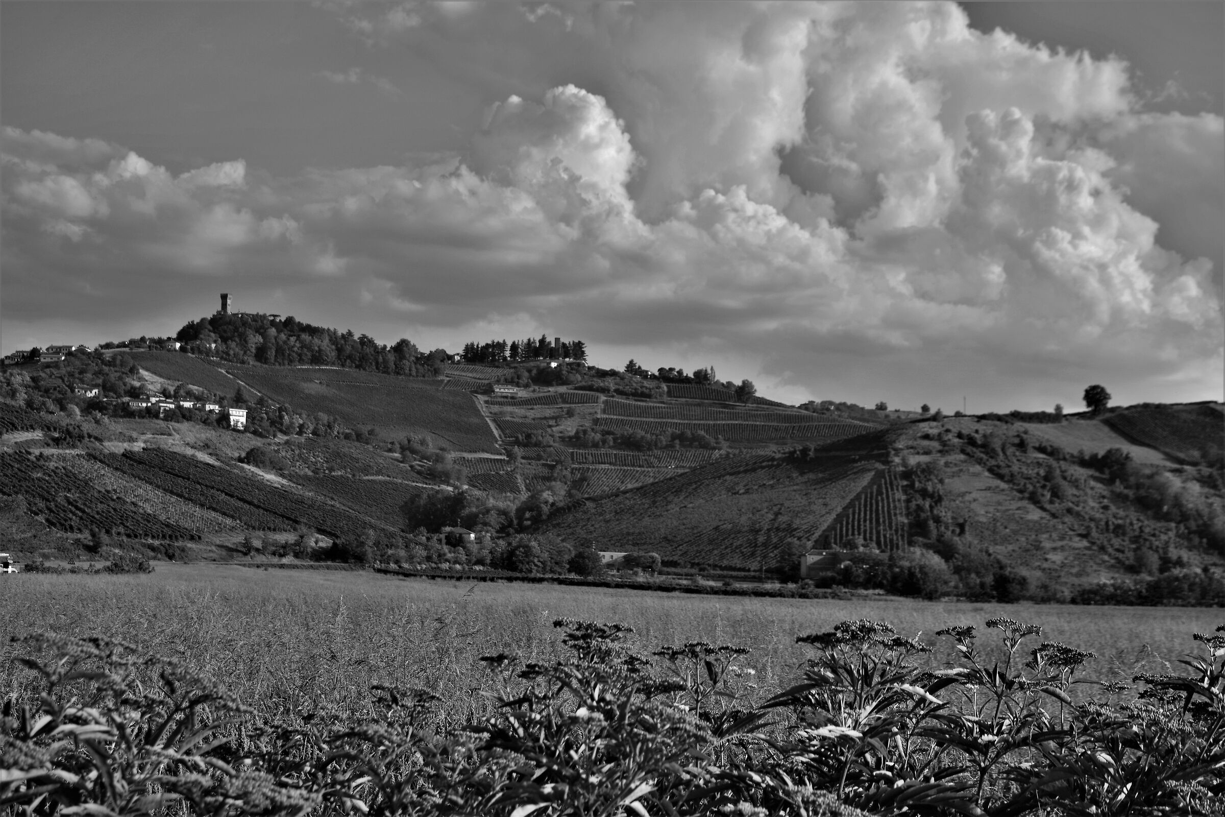 Thunderstorm warnings