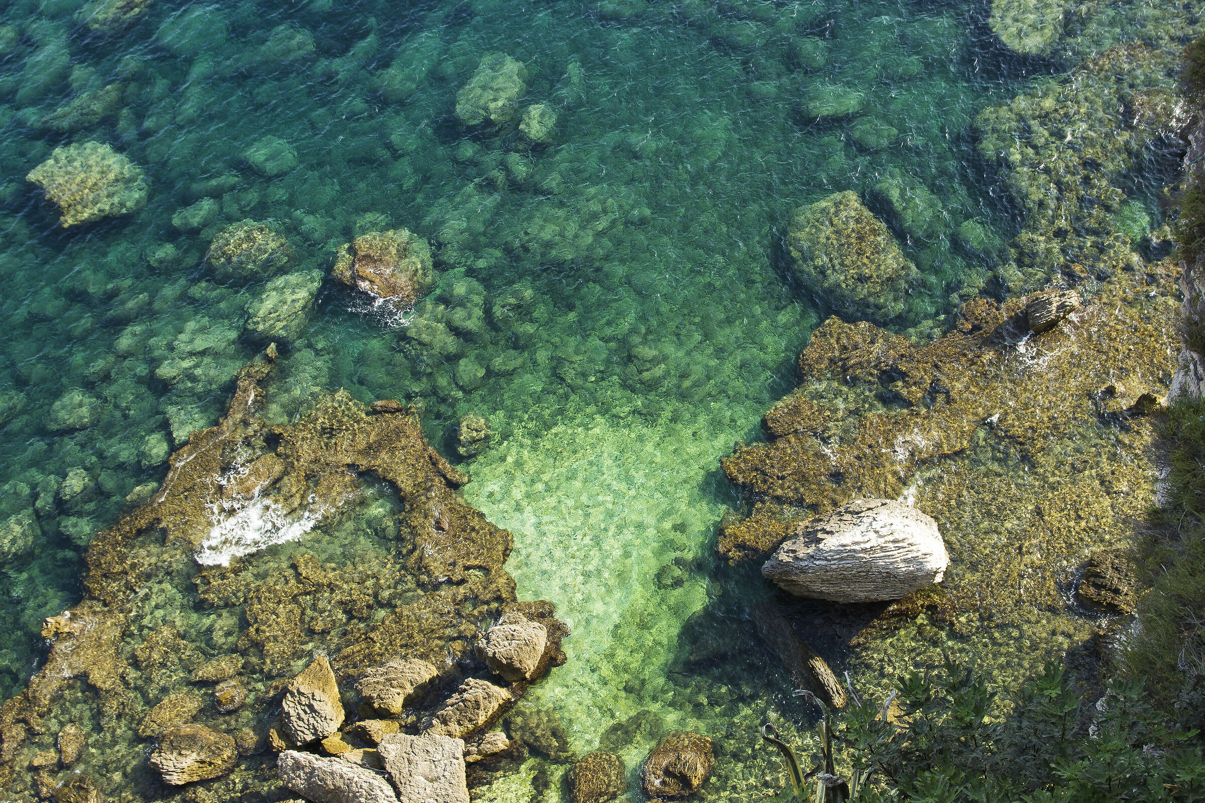 mare e scogli in Corsica