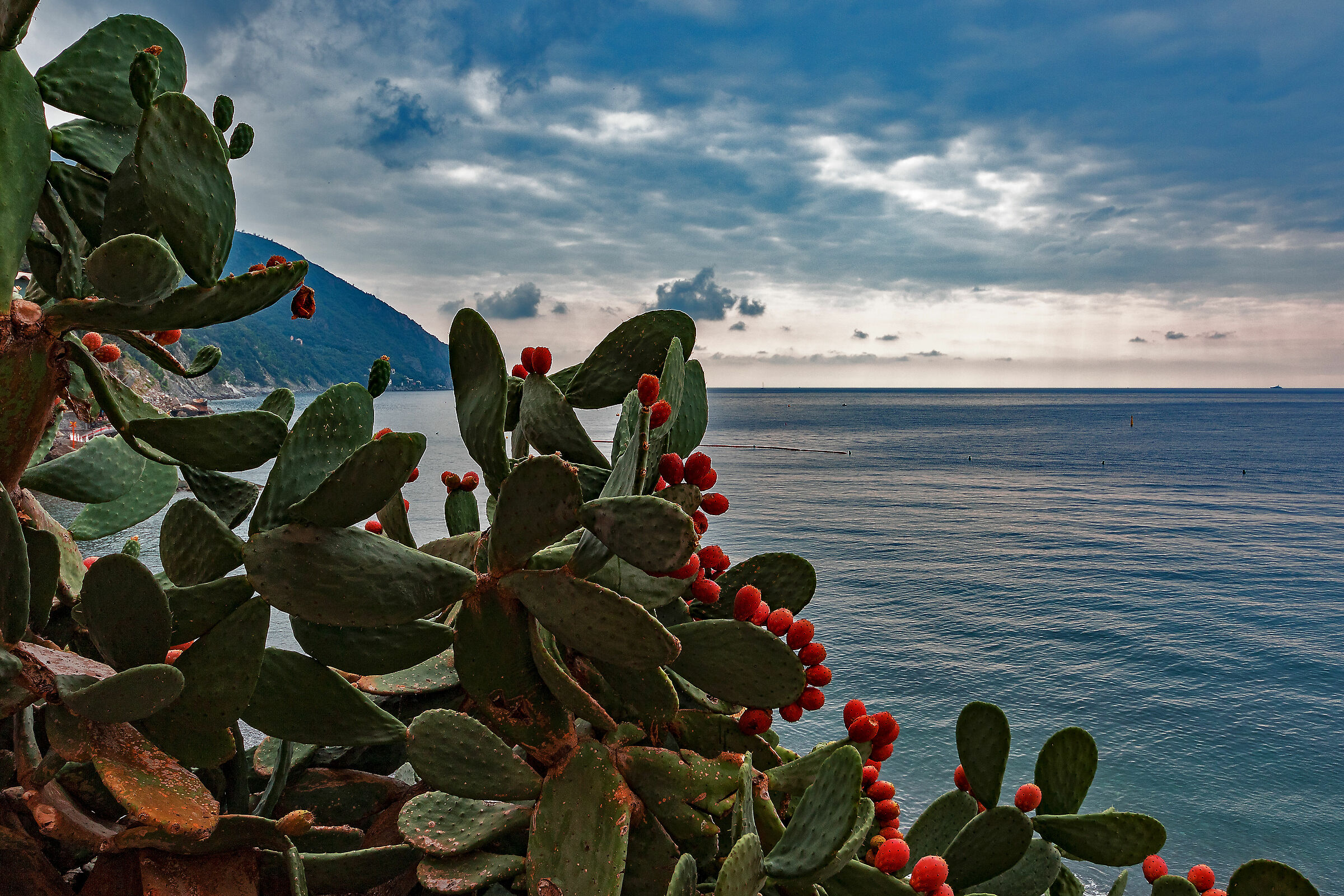 Waiting for the serene