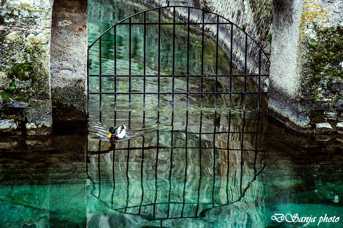 libero di scegliere...