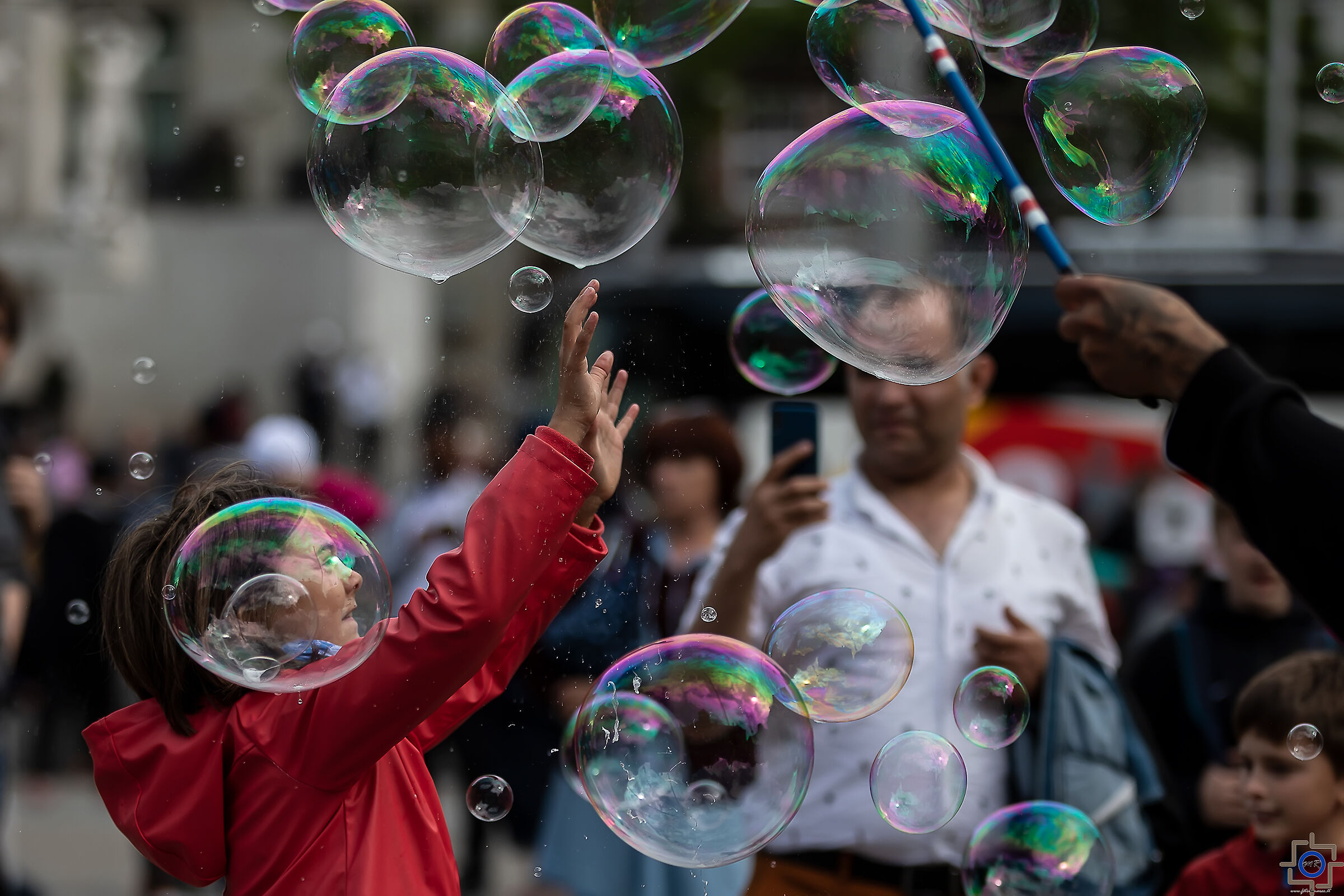 Everything in the bubble