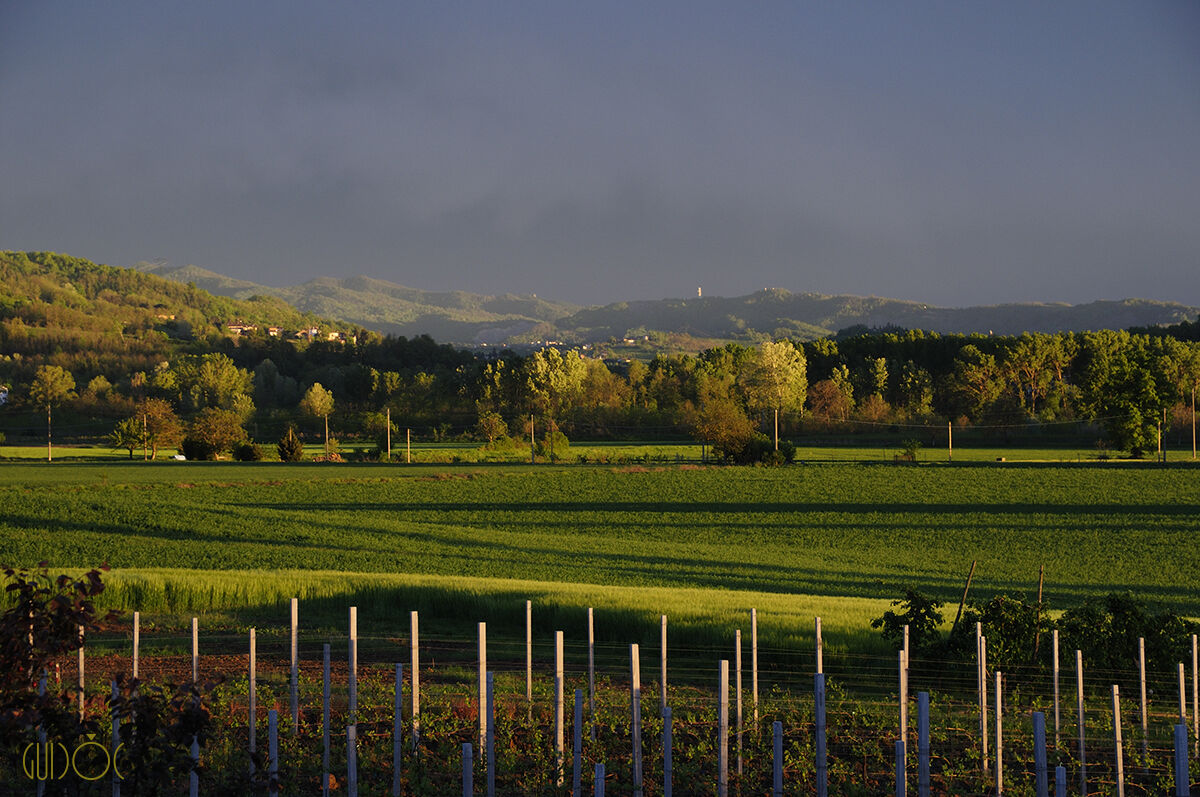 Towards sunset in The Grue Valley (AL)