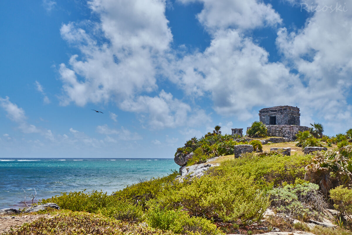 Caribbean antiquities