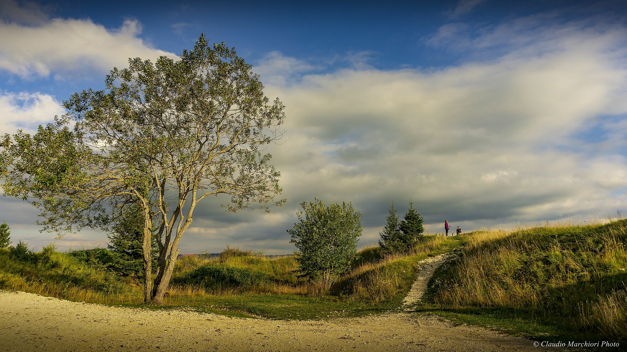 The Breath of Plants