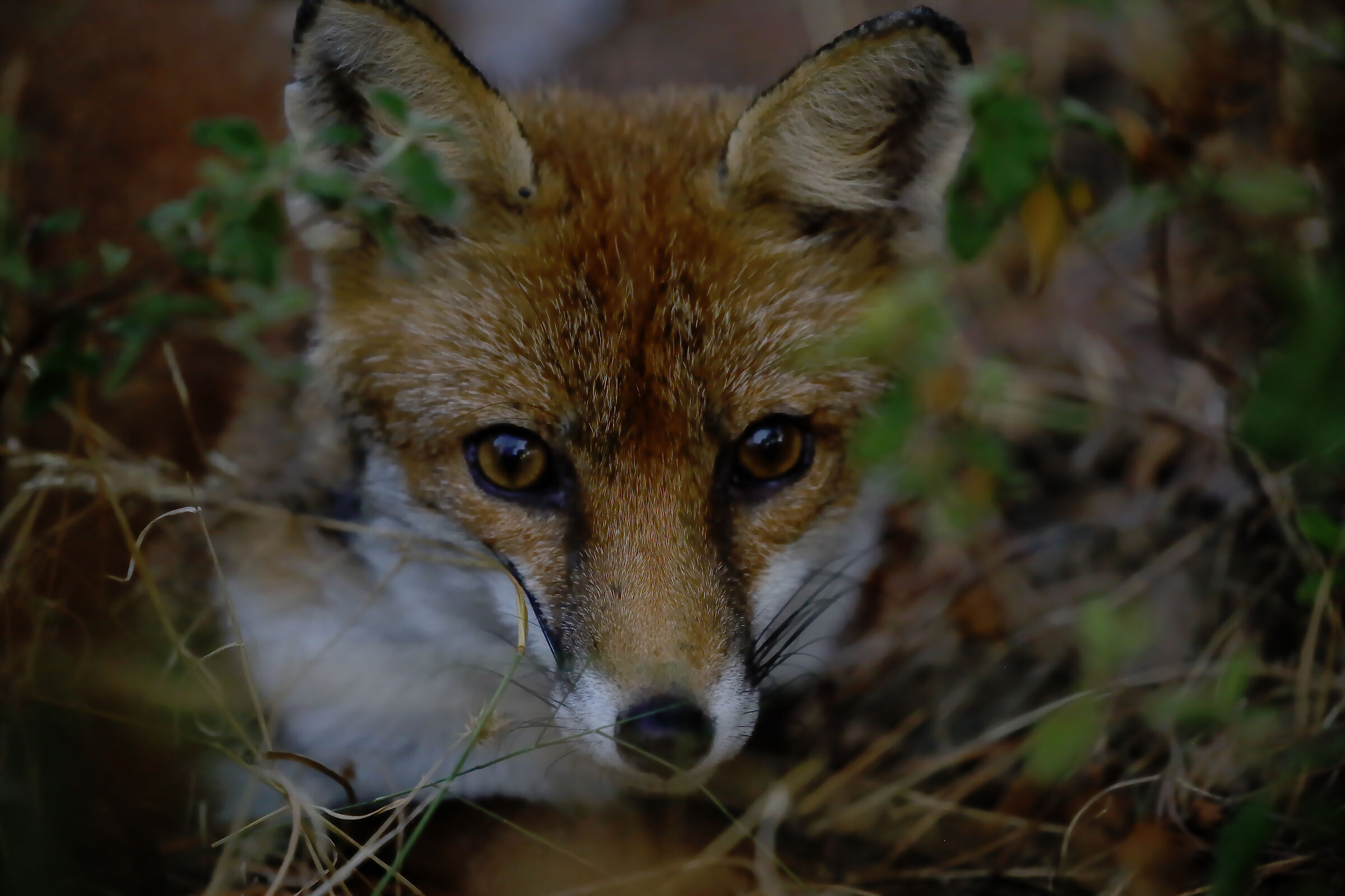 Hi baby.. what a beautiful memory