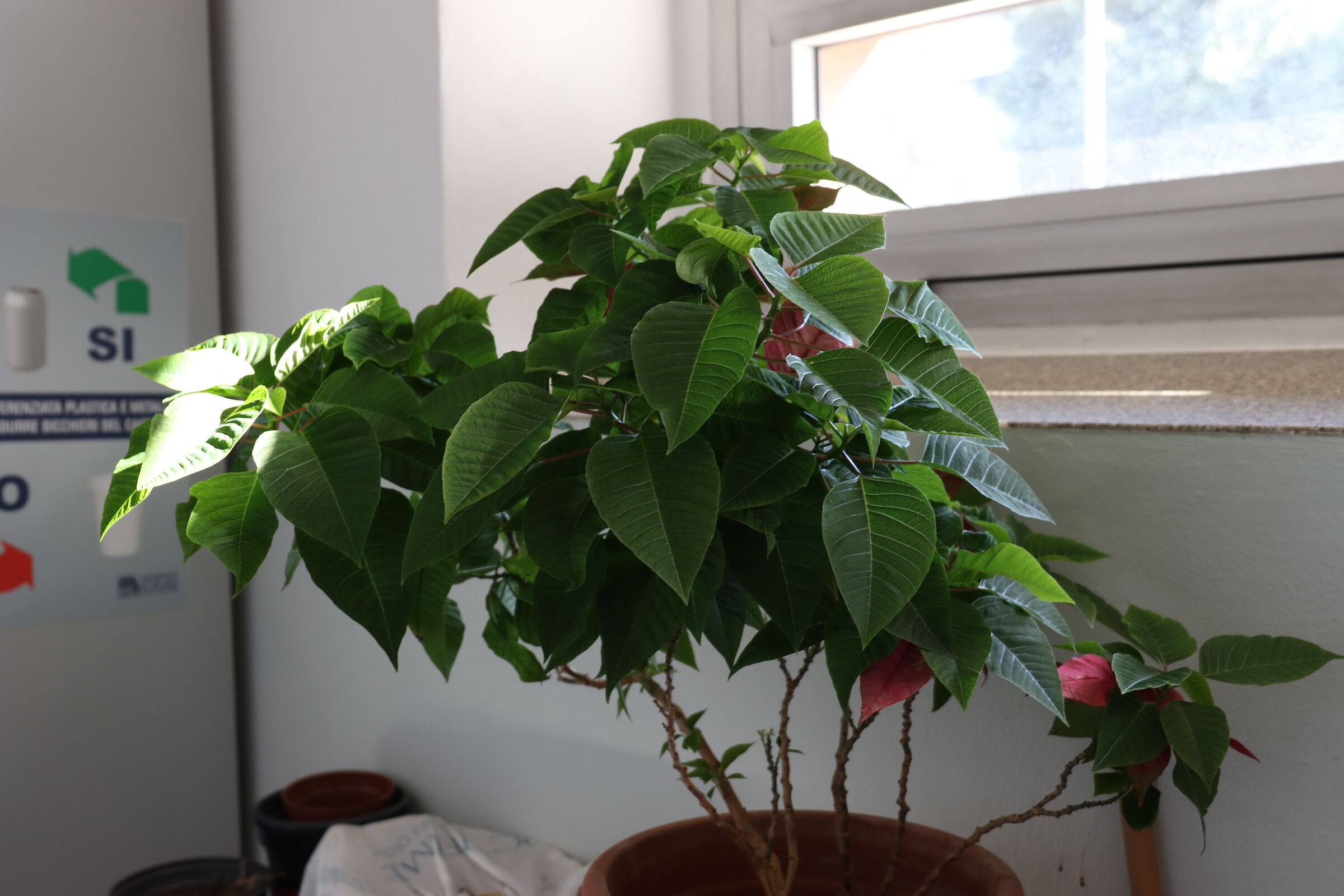 Canon Eos 90D Test Shots