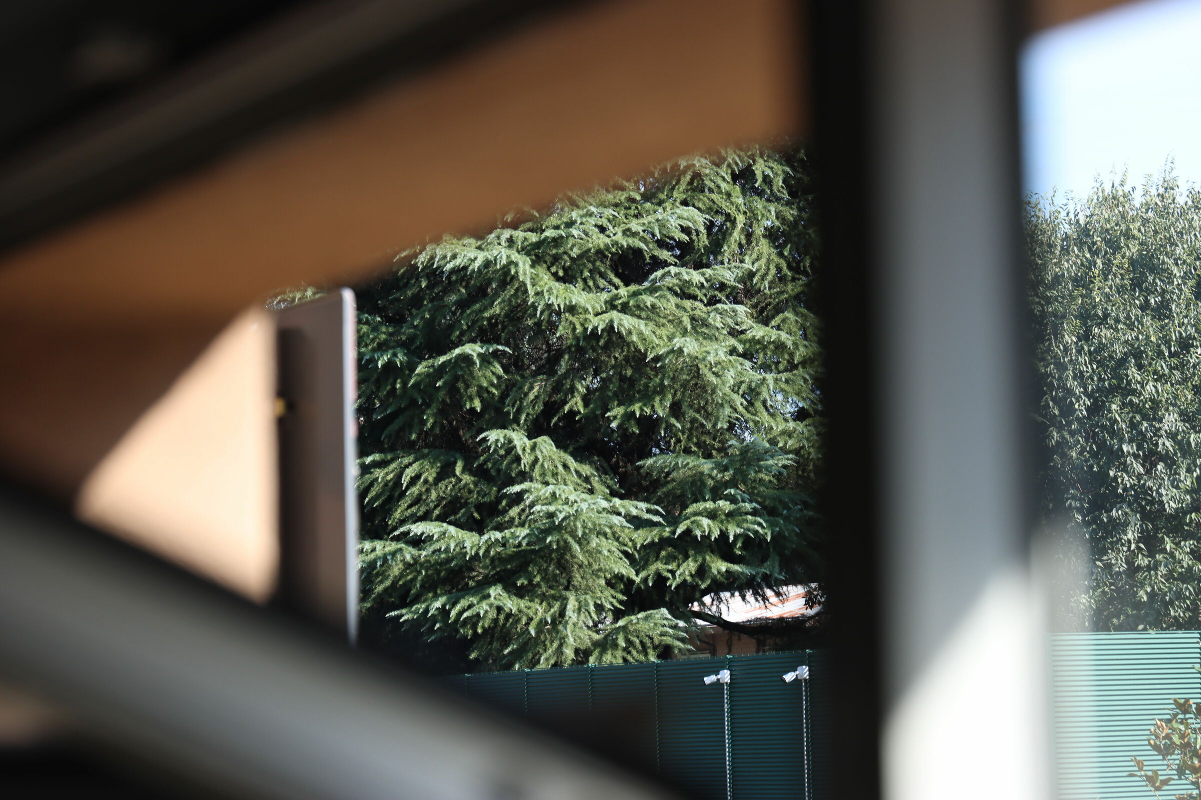 Canon Eos 90D Test Shots