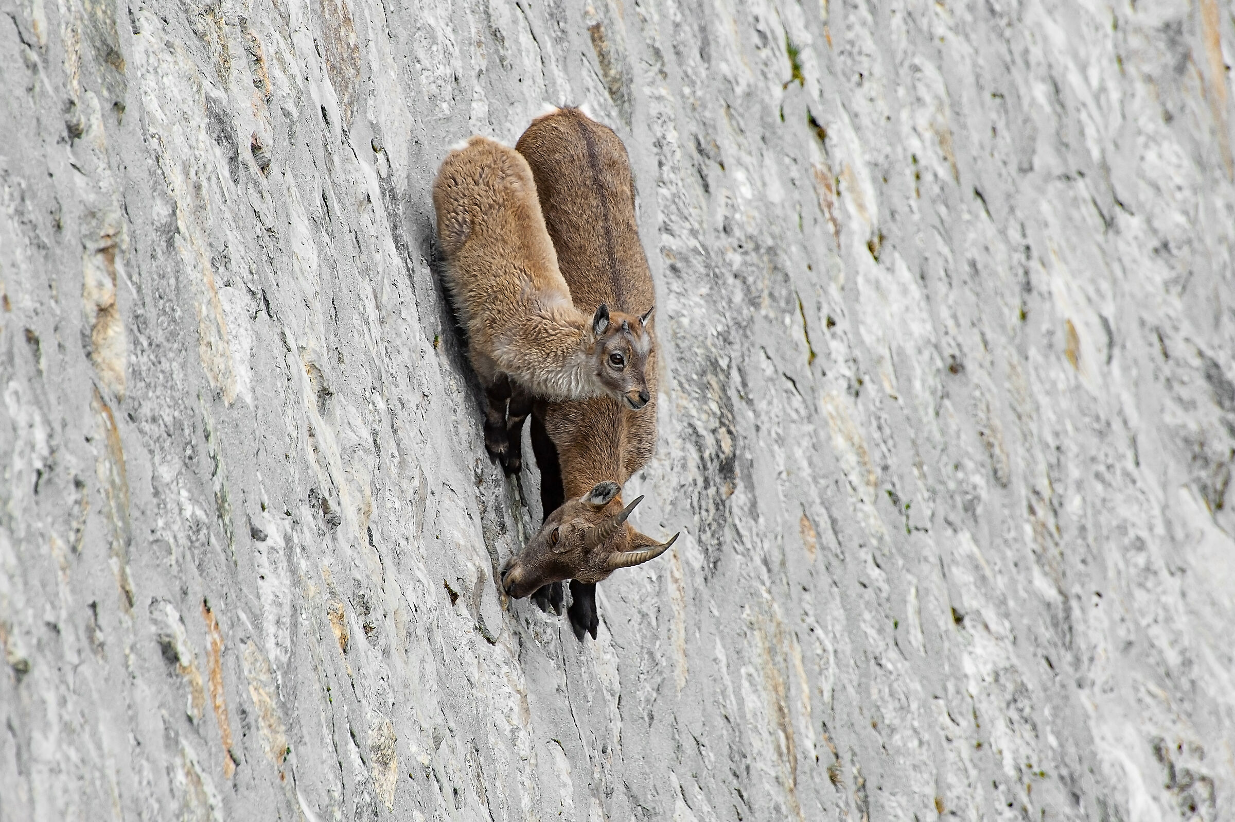 lezioni di equilibrismo sulla diga