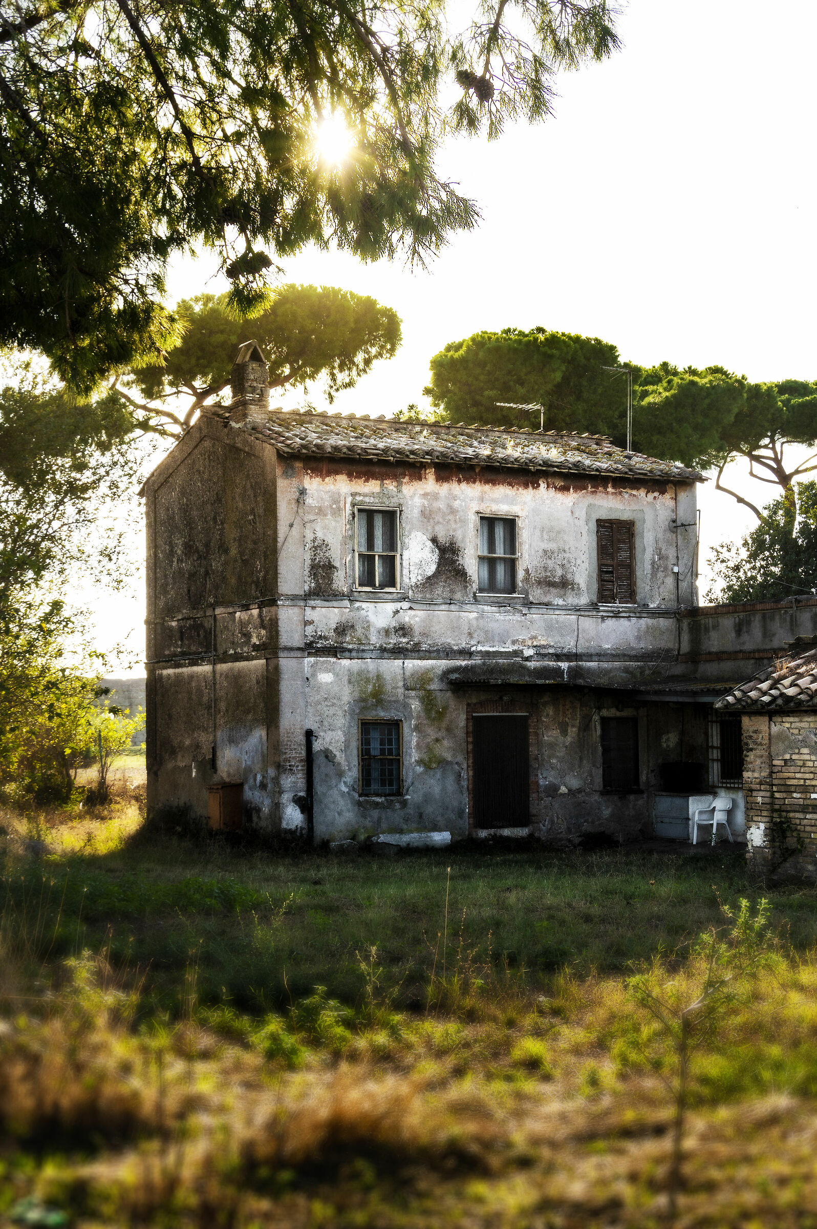 Old house in the park