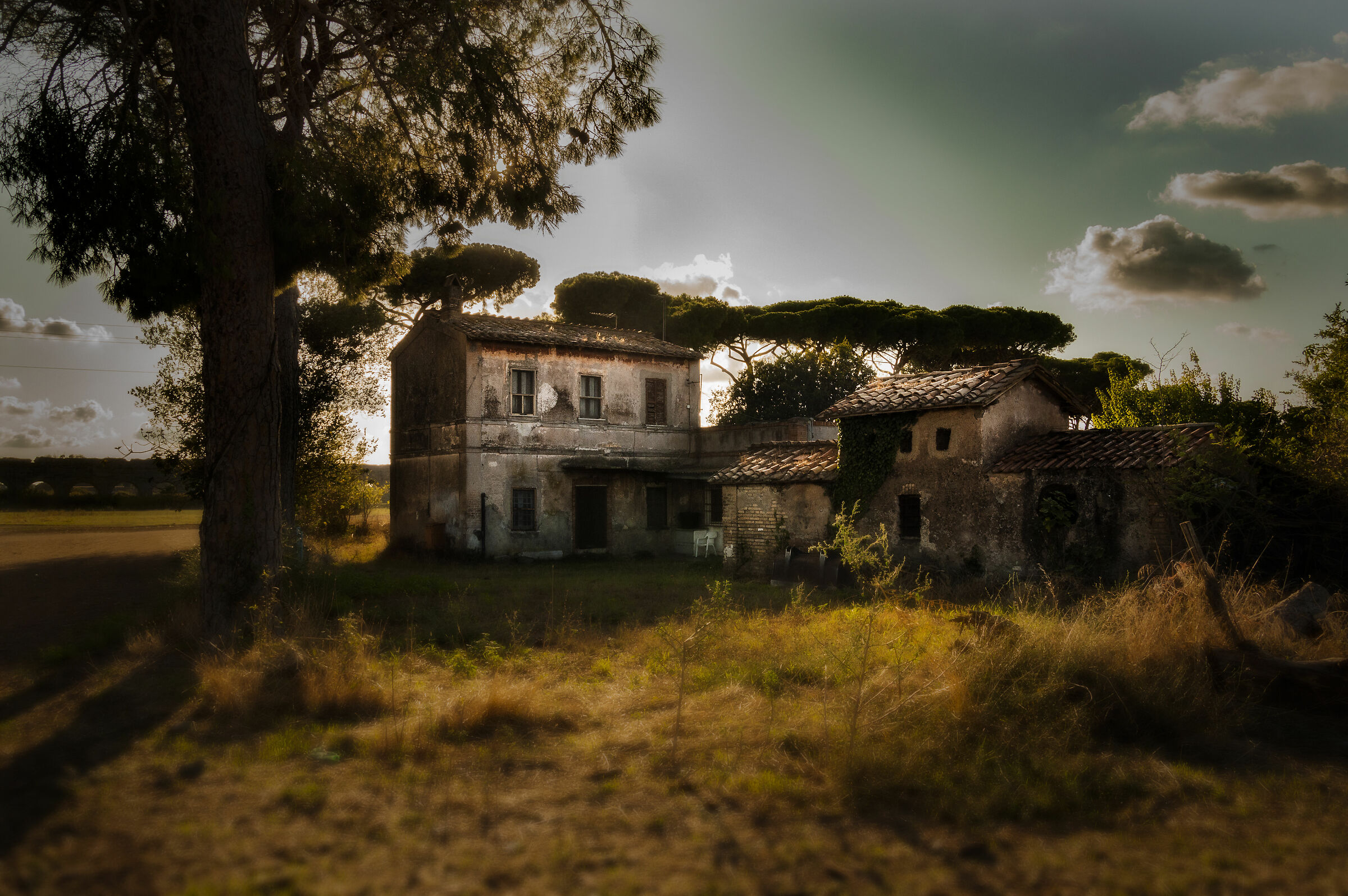 Old house in the park
