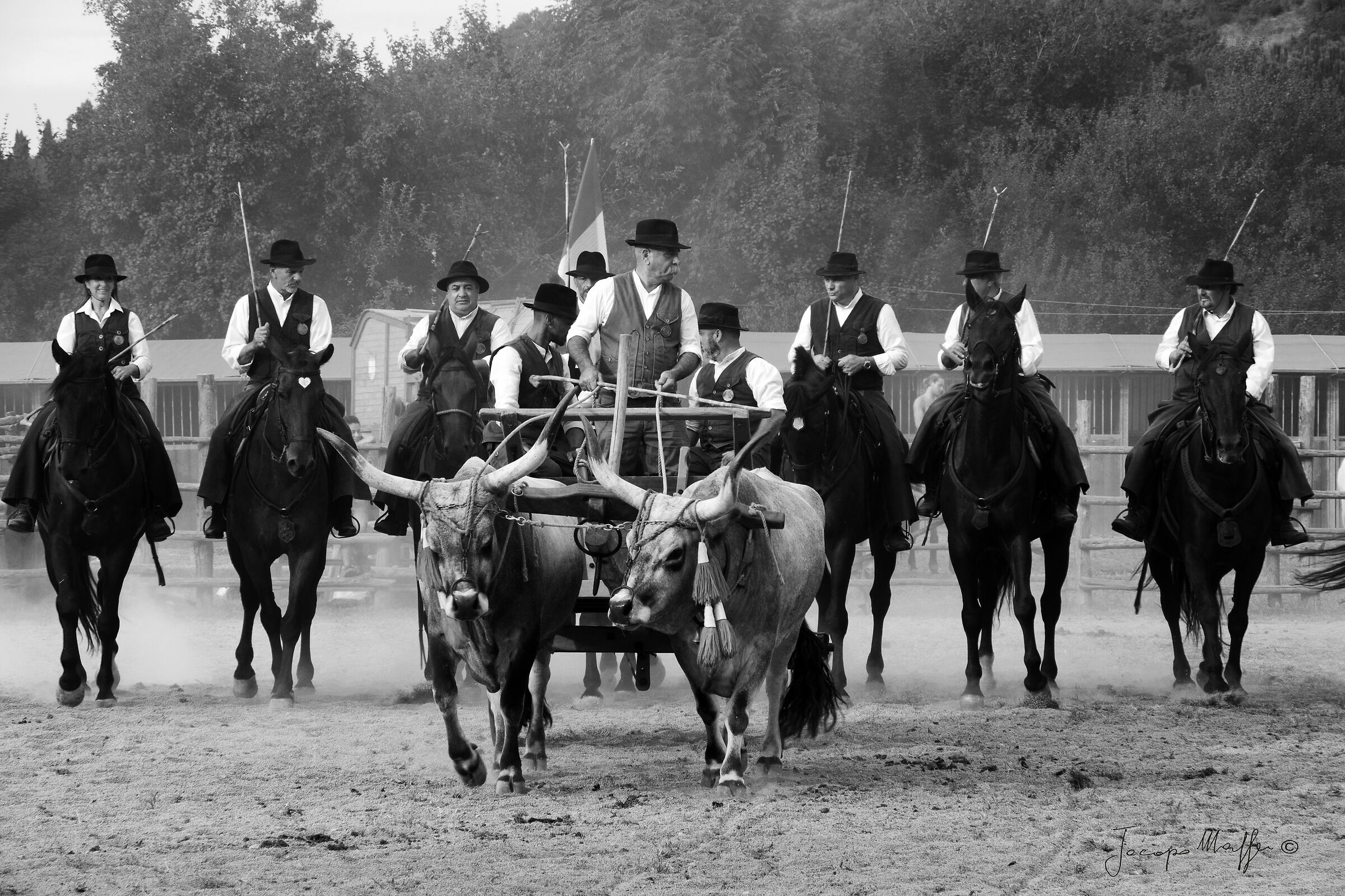 Cavalieri d'altri tempi