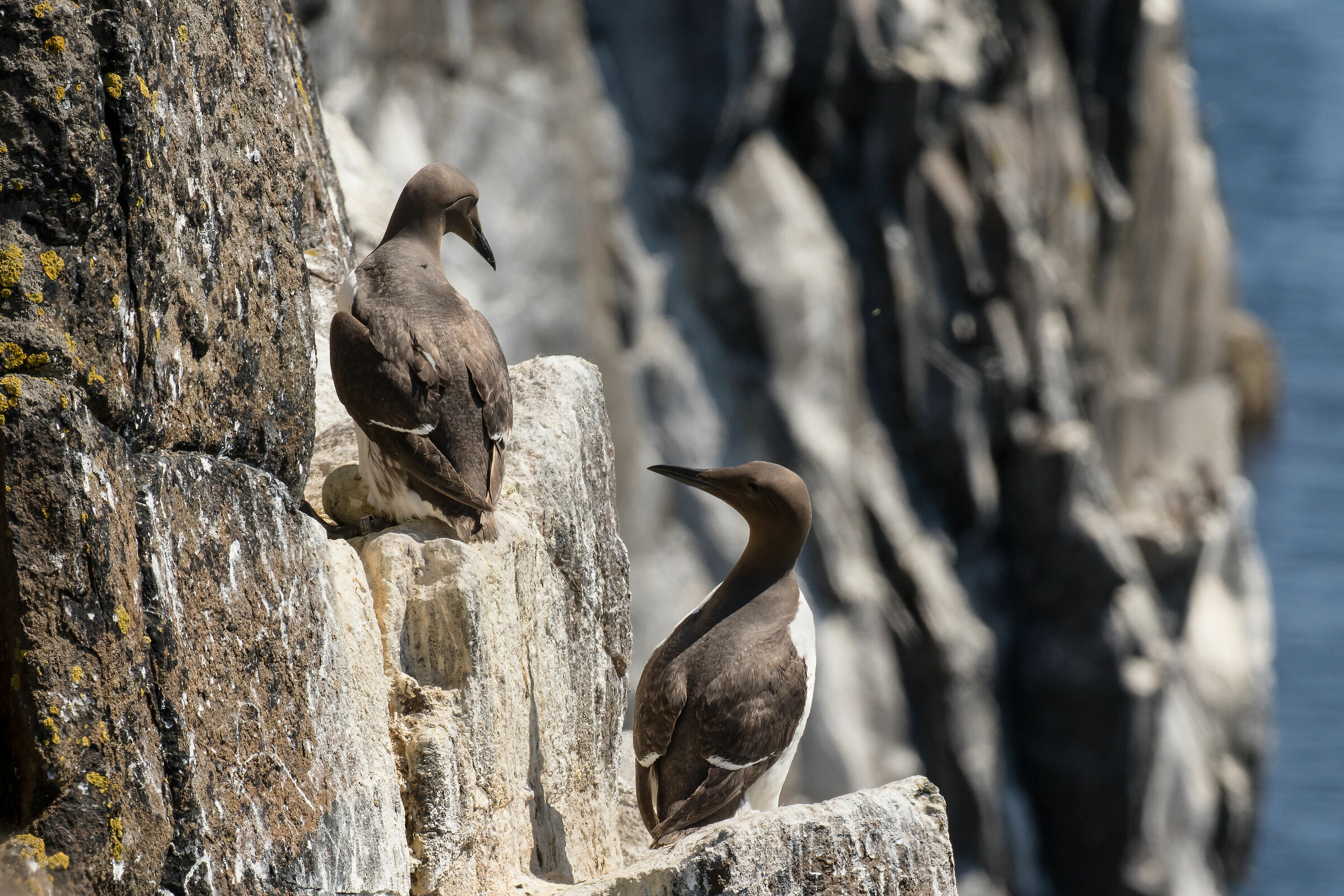 E mi raccomando non farlo cadere!