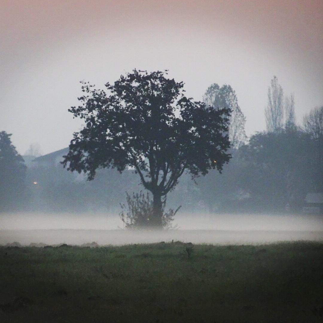 First cold in the plains