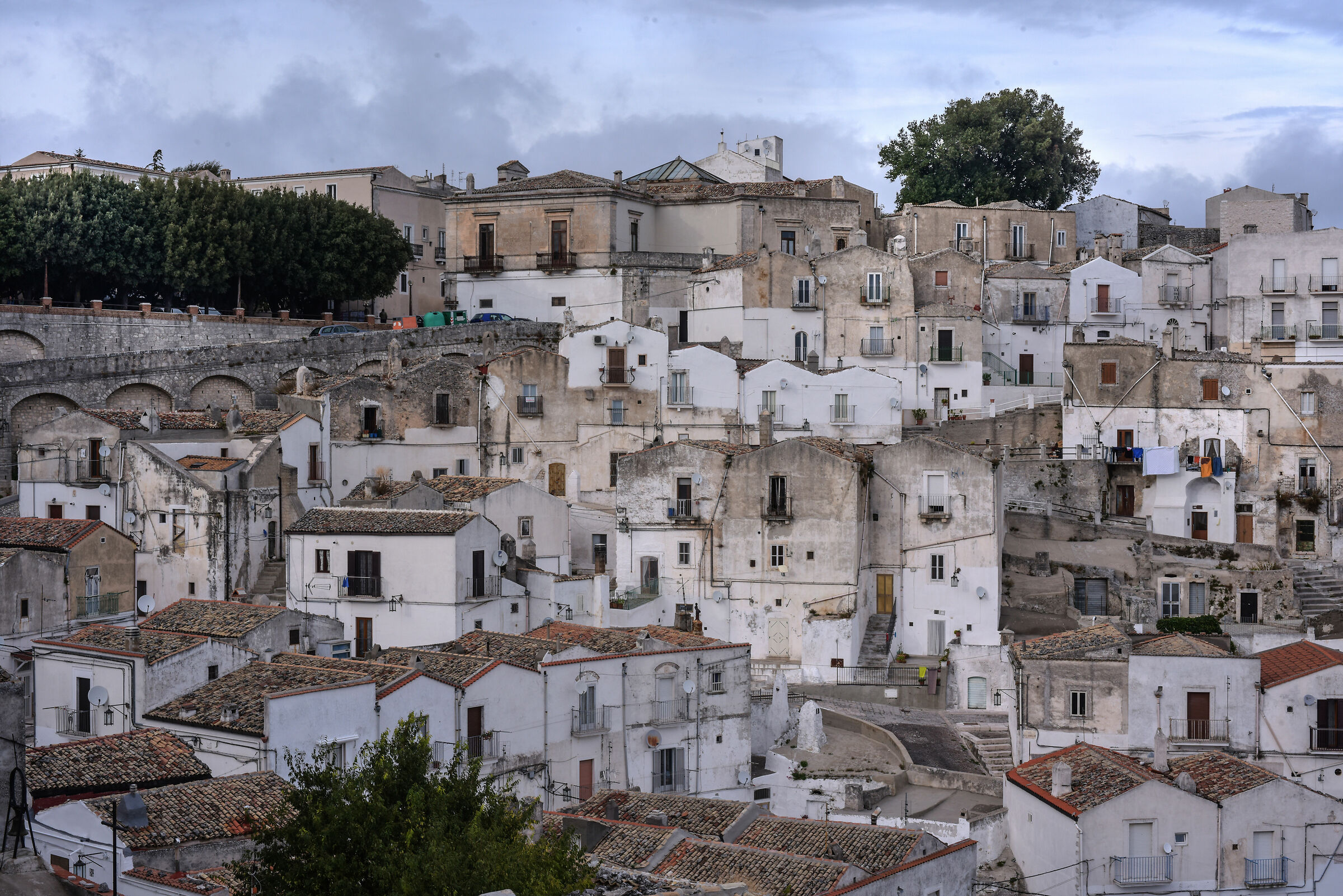 The typical houses of Monte