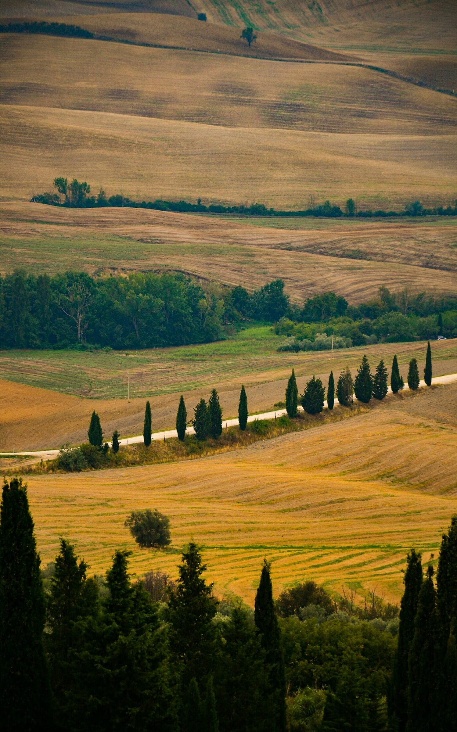 Val d'Orcia (Siena)