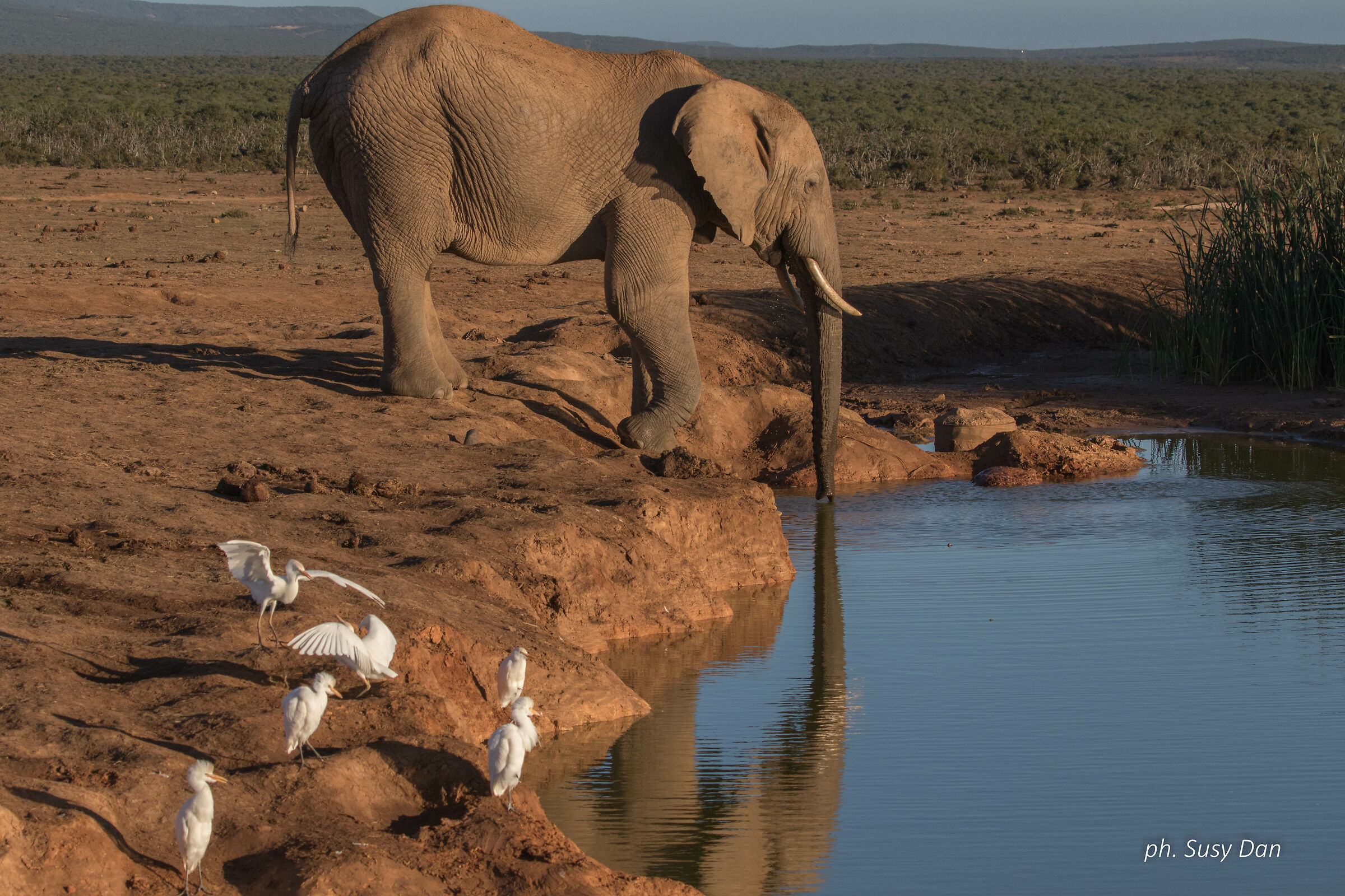 One more drink before nightfall