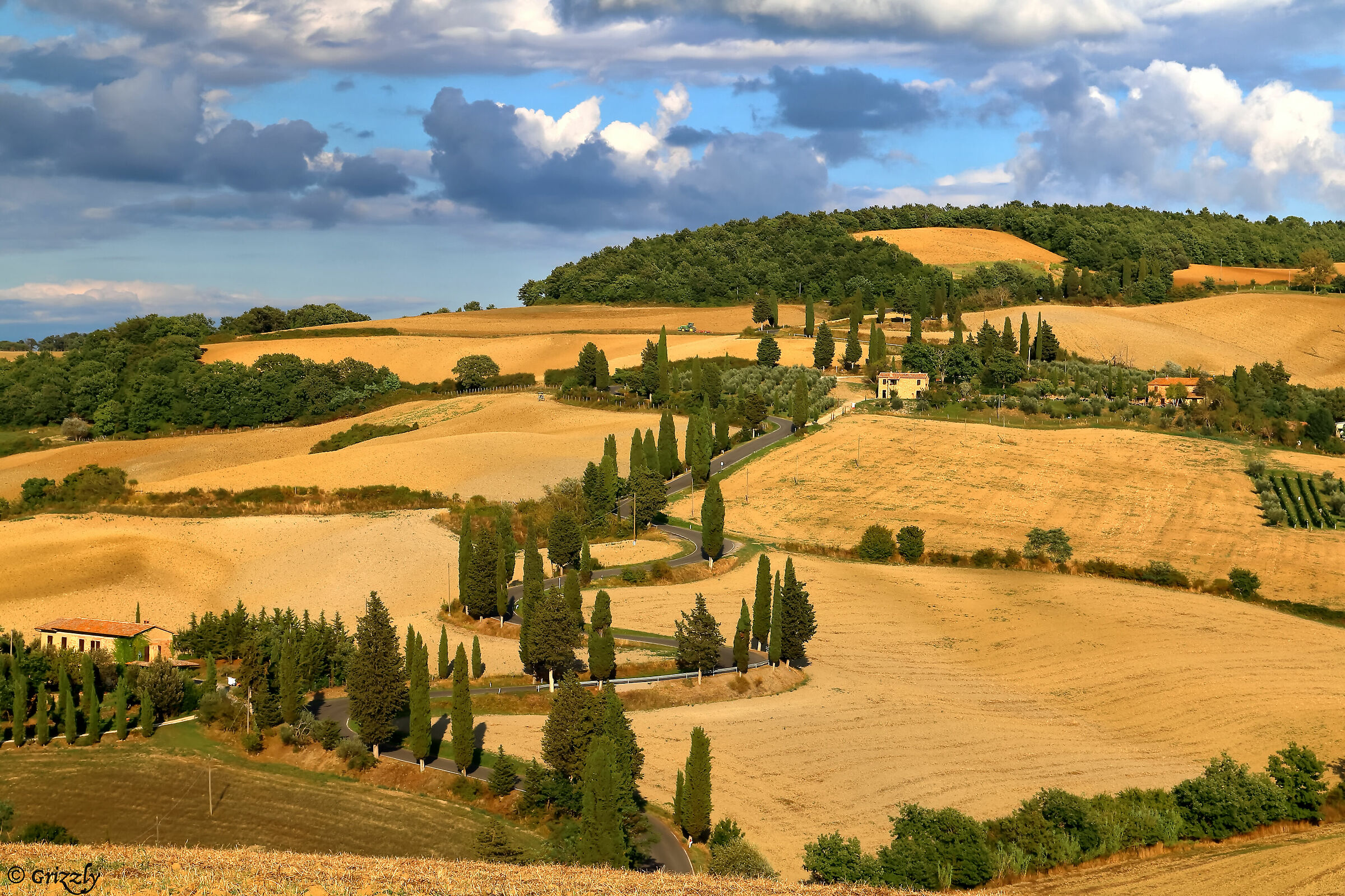 Monticchiello's curves