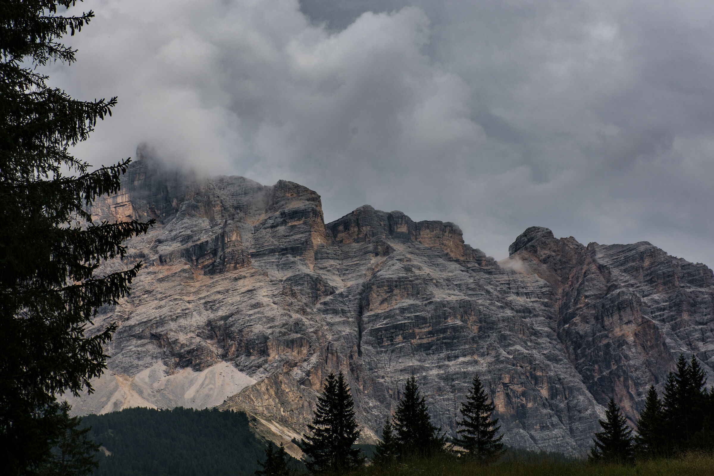 Trentino