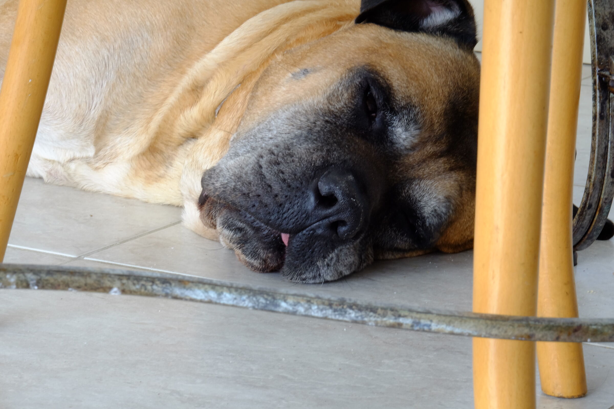 Sonno pesante