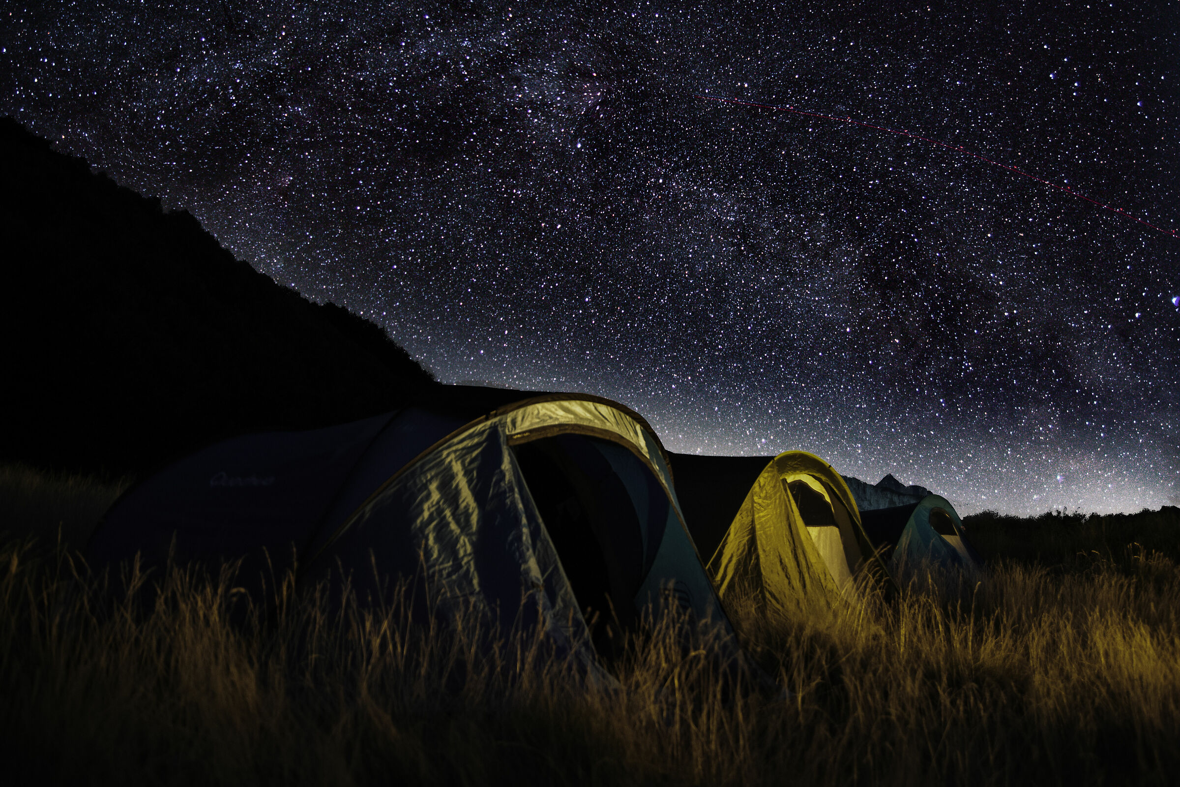summer stars