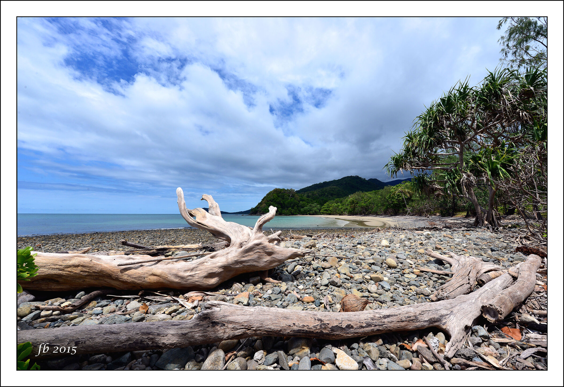 Cape Tribulation