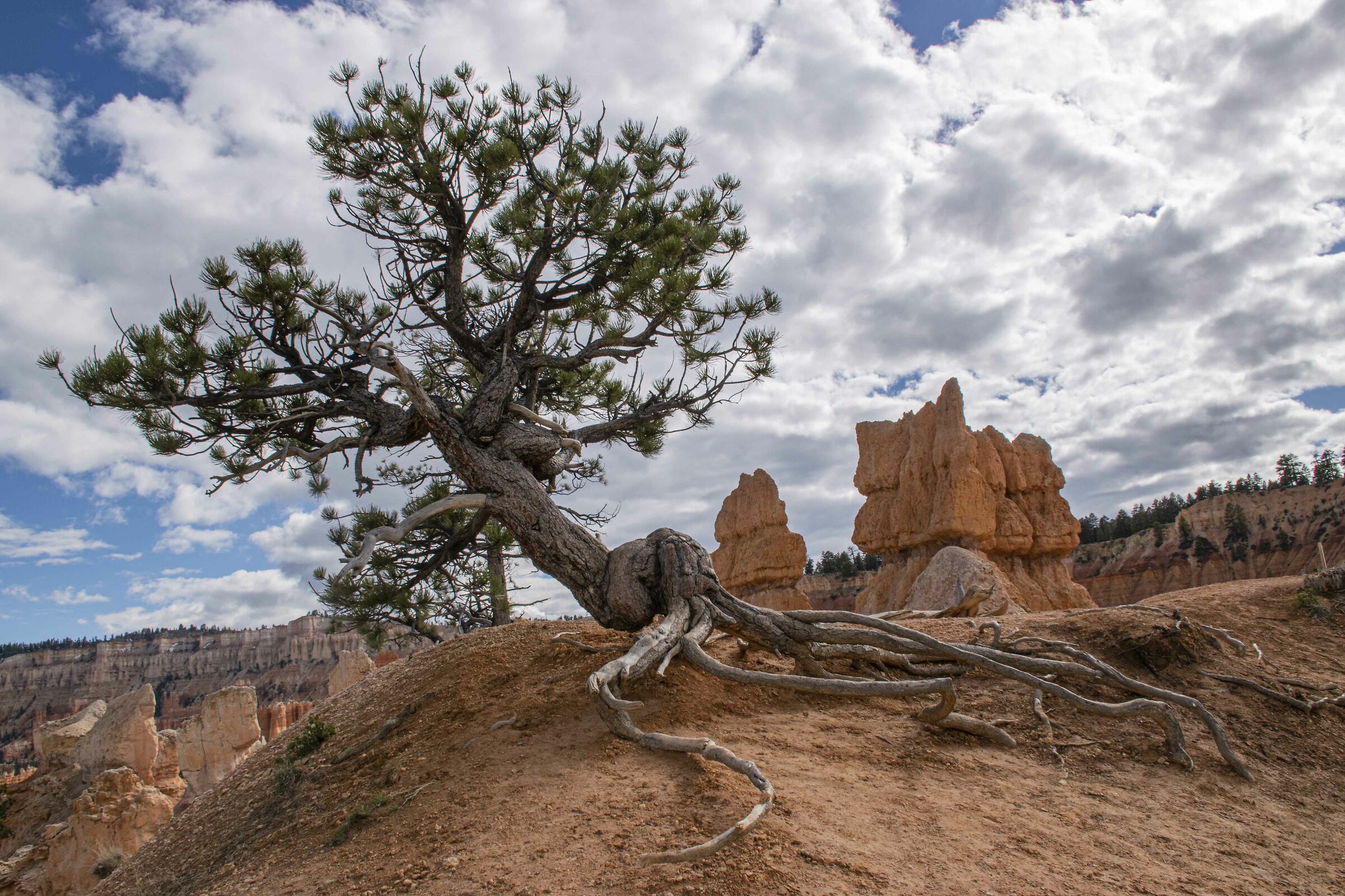 Bryce Canyon
