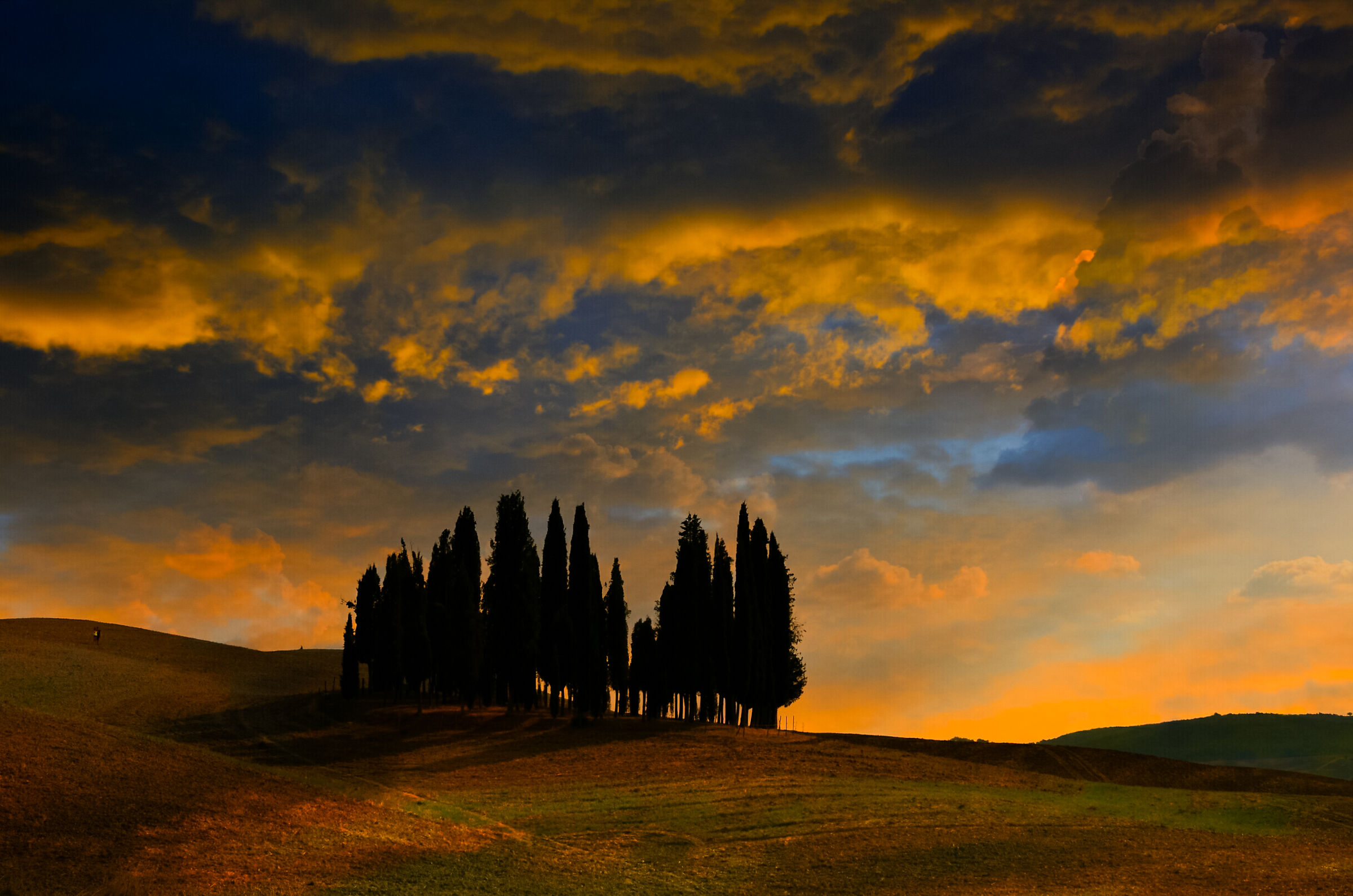 Cipressi di San Quirico d'Orcia al tramonto