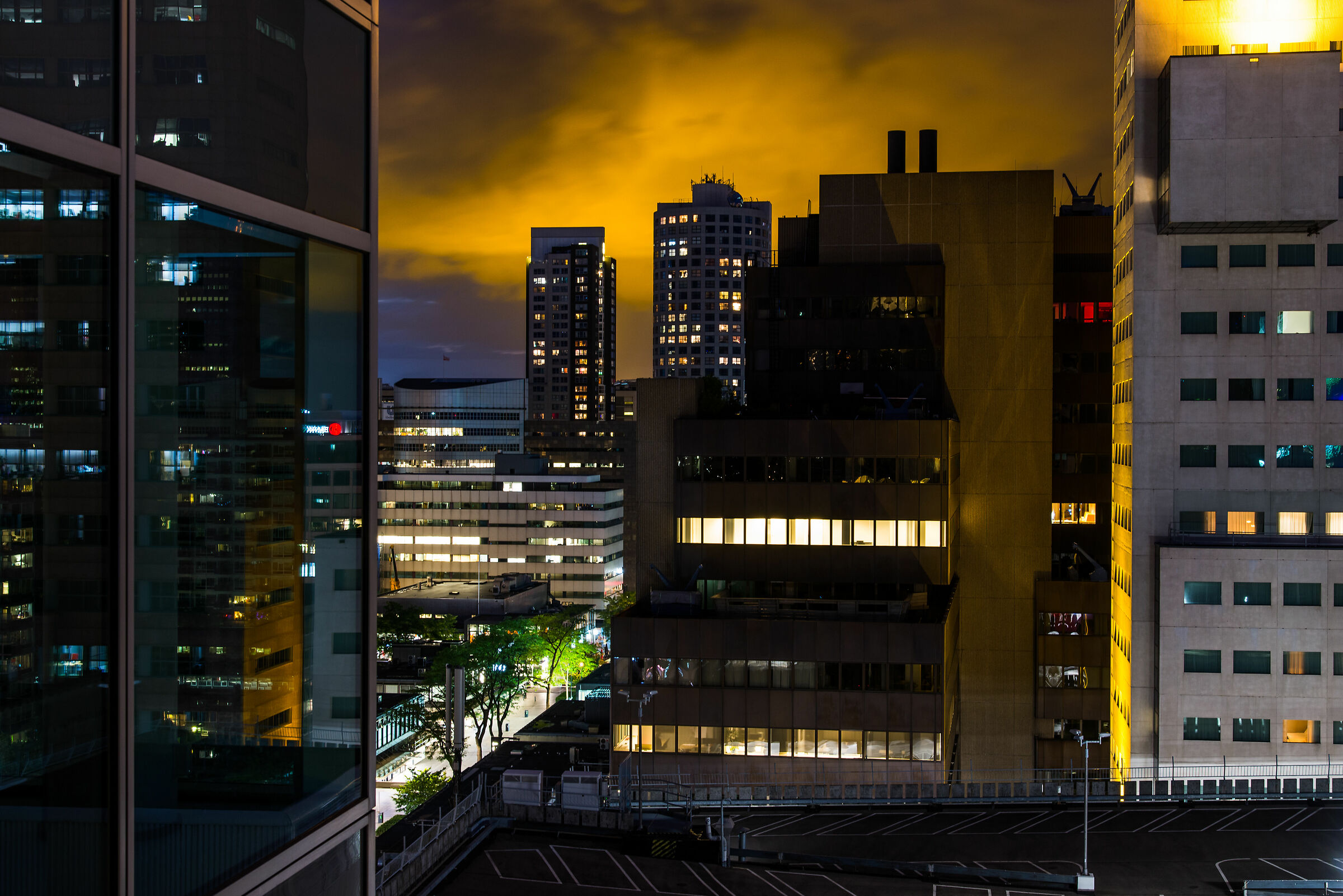 Rotterdam at golden hour