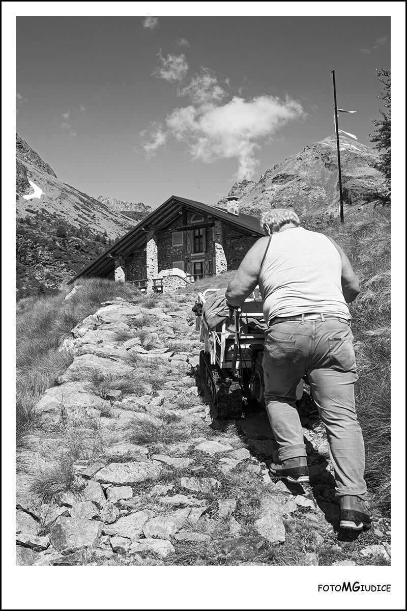 ...arrivano i viveri